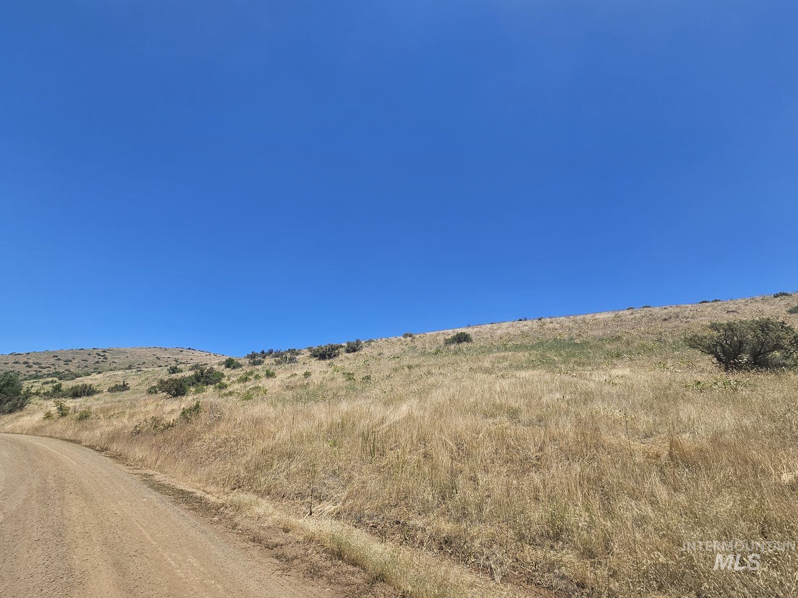 TBD Cow Creek Rd, Council, Idaho image 8