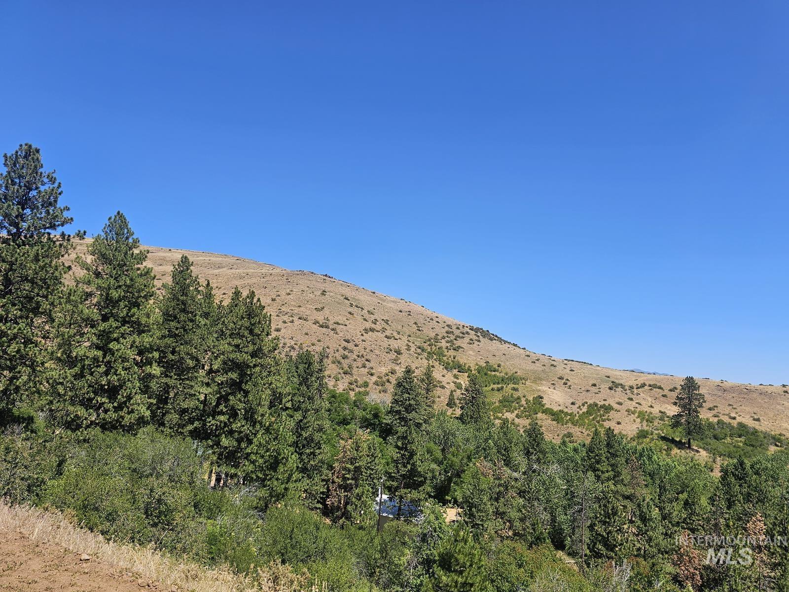 TBD Cow Creek Rd, Council, Idaho image 1