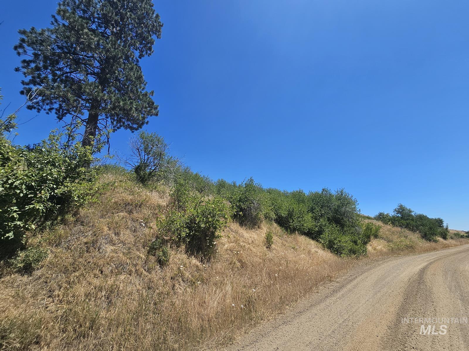 TBD Cow Creek Rd, Council, Idaho image 3