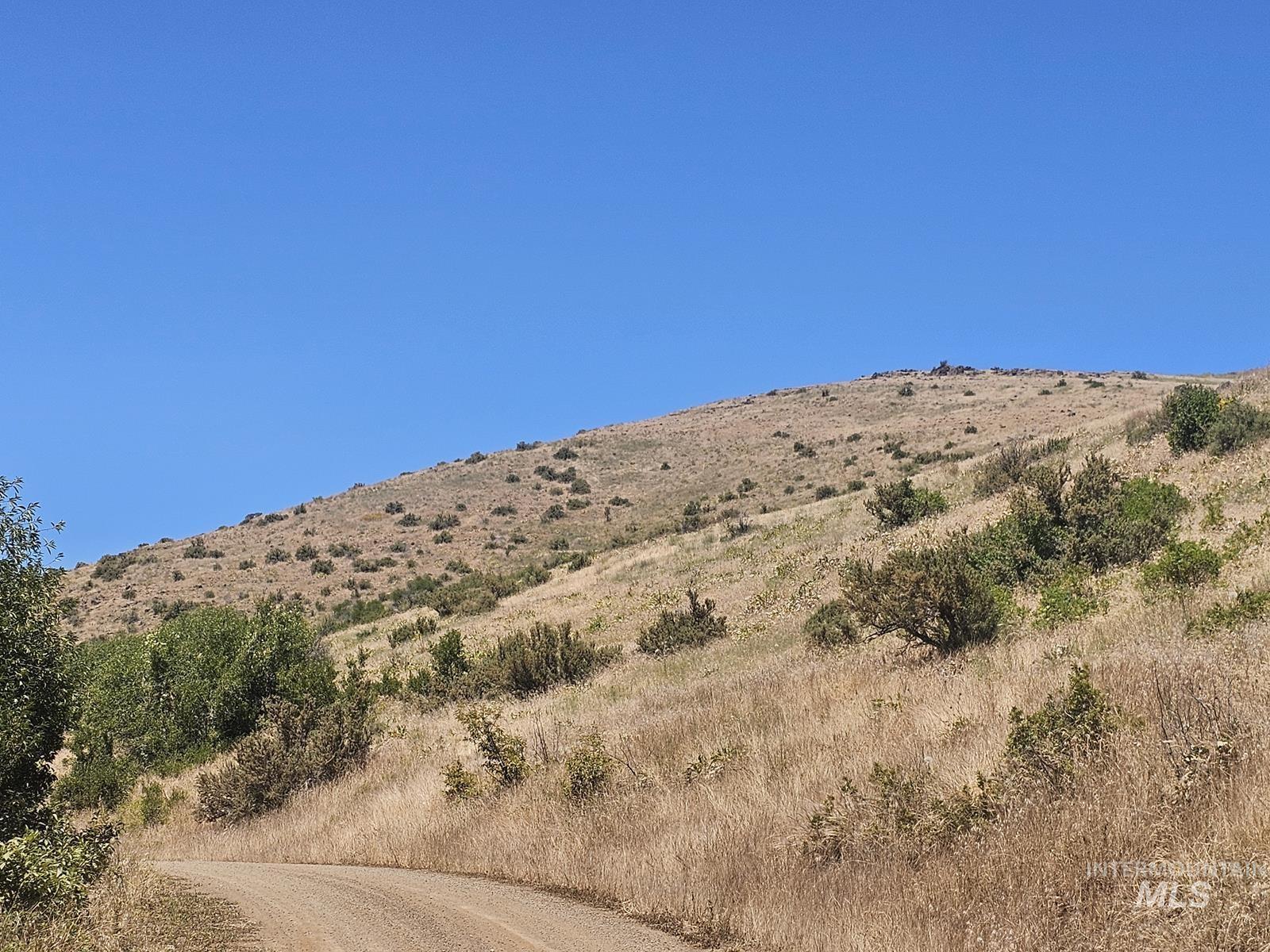 TBD Cow Creek Rd, Council, Idaho image 13