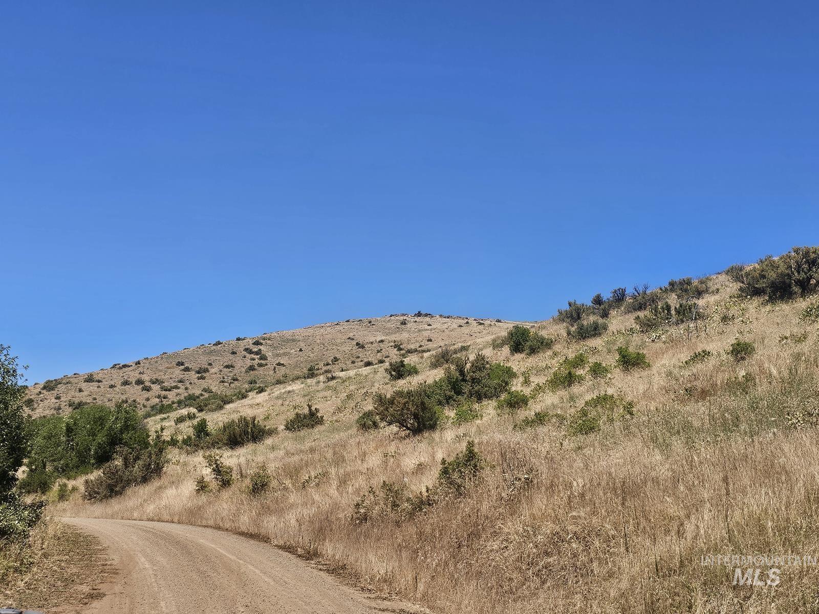 TBD Cow Creek Rd, Council, Idaho image 14