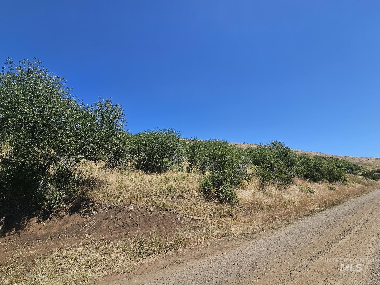 TBD Cow Creek Rd, Council, Idaho image 12