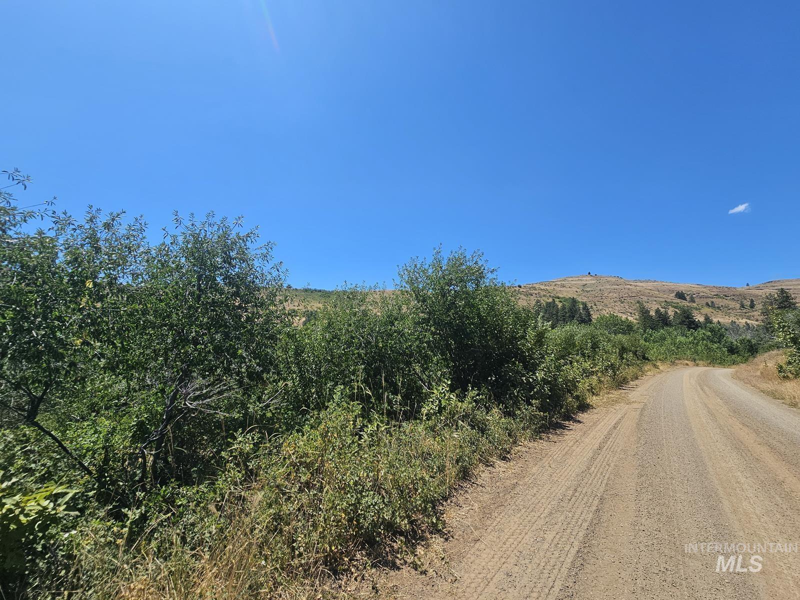 TBD Cow Creek Rd, Council, Idaho image 5