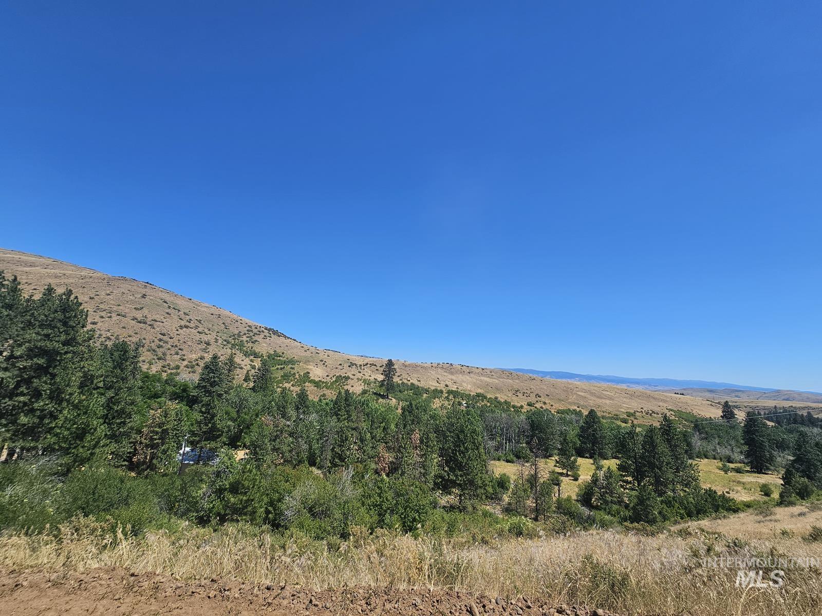 TBD Cow Creek Rd, Council, Idaho image 11