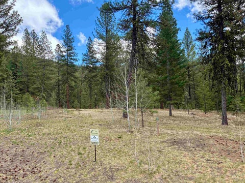 Photo of 31 Vernon Ct, McCall, ID 83638 (MLS # 98997269)