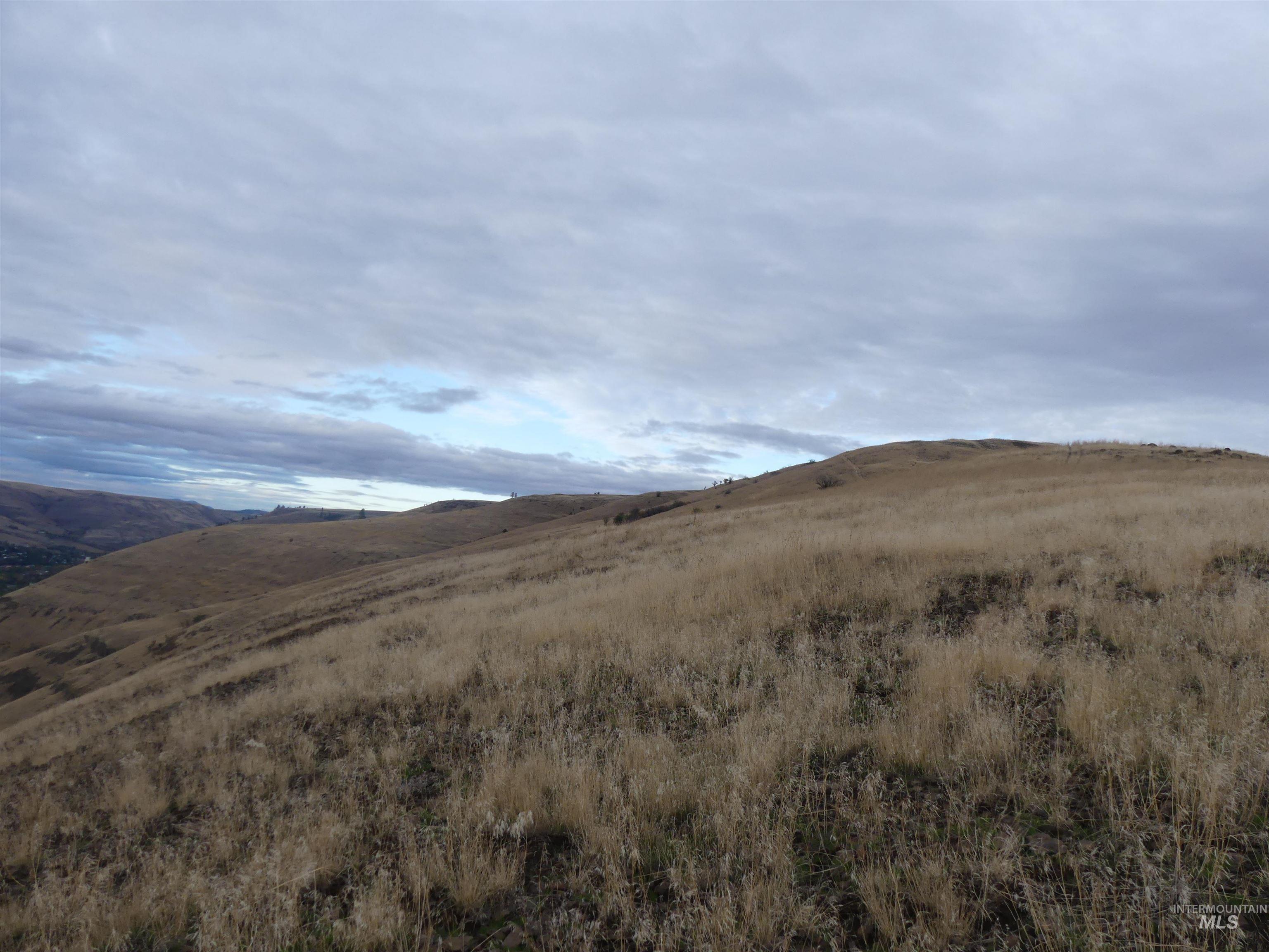 17550 Stoney Point Rd