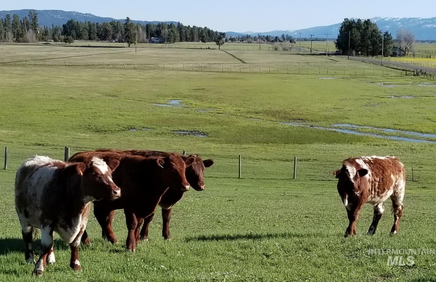Stable featuring a view of countryside