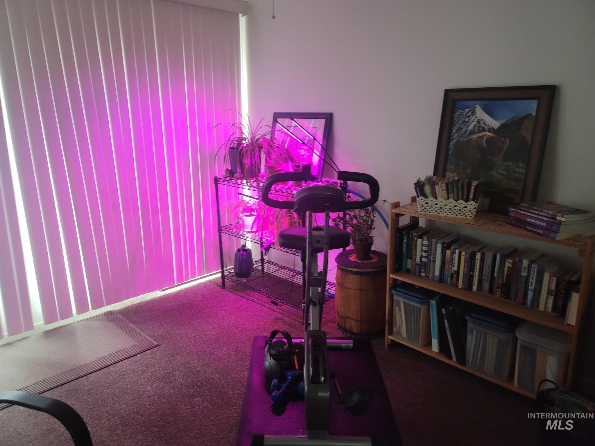 Exercise area with carpet flooring