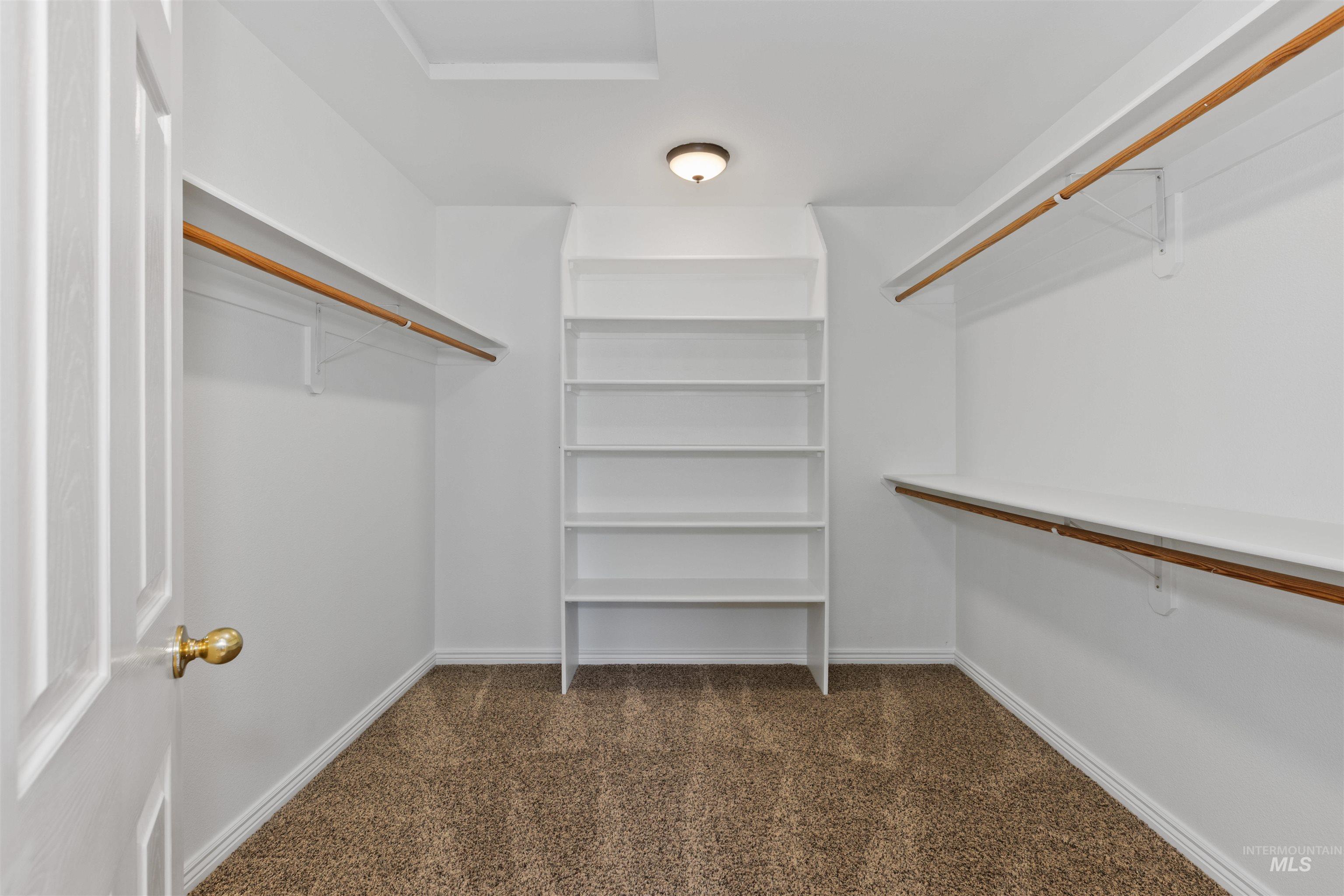 Walk in closet with dark colored carpet