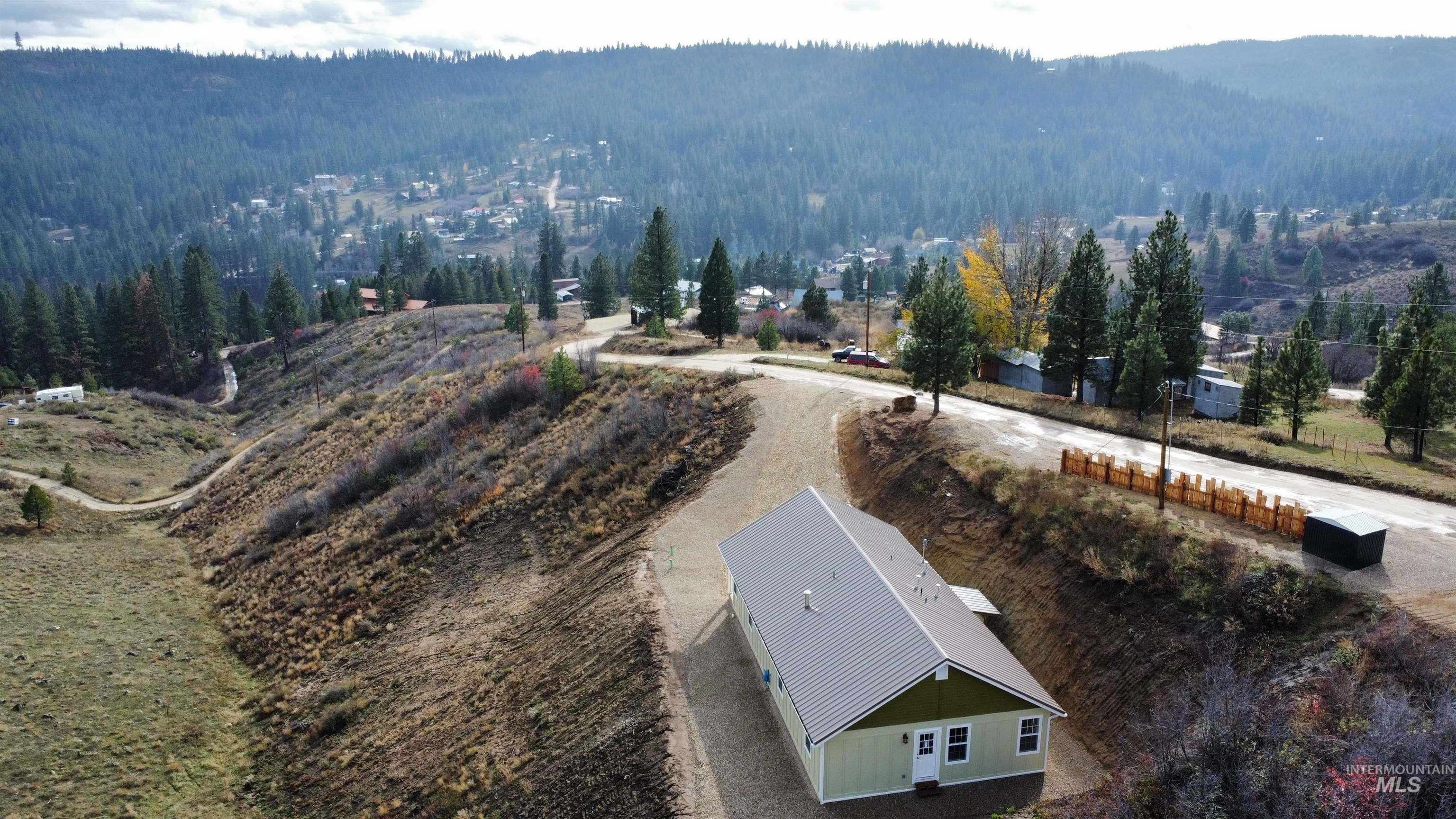 Aerial view of a forest and mountains