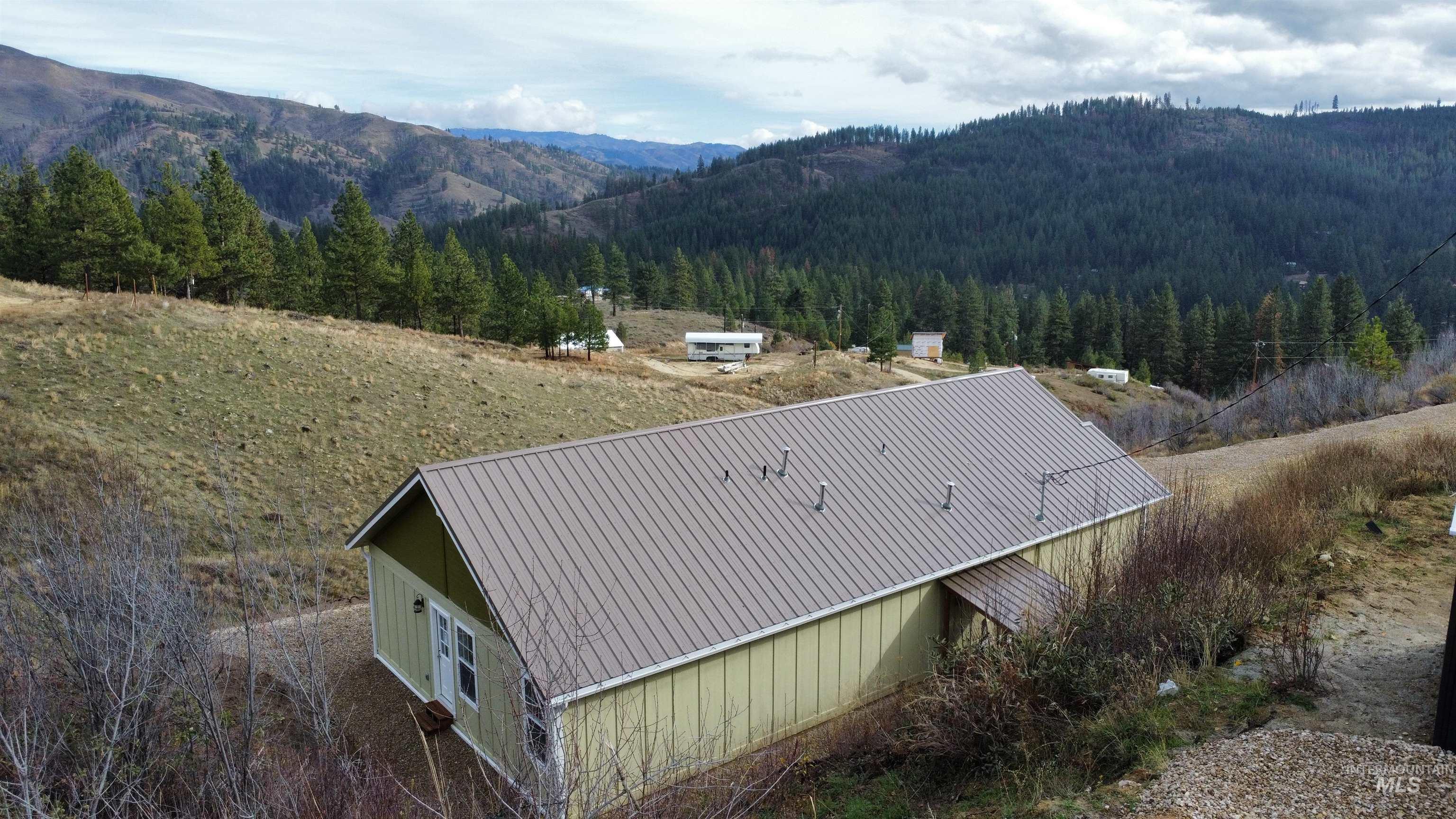 Aerial view of a forest and a mountainous background
