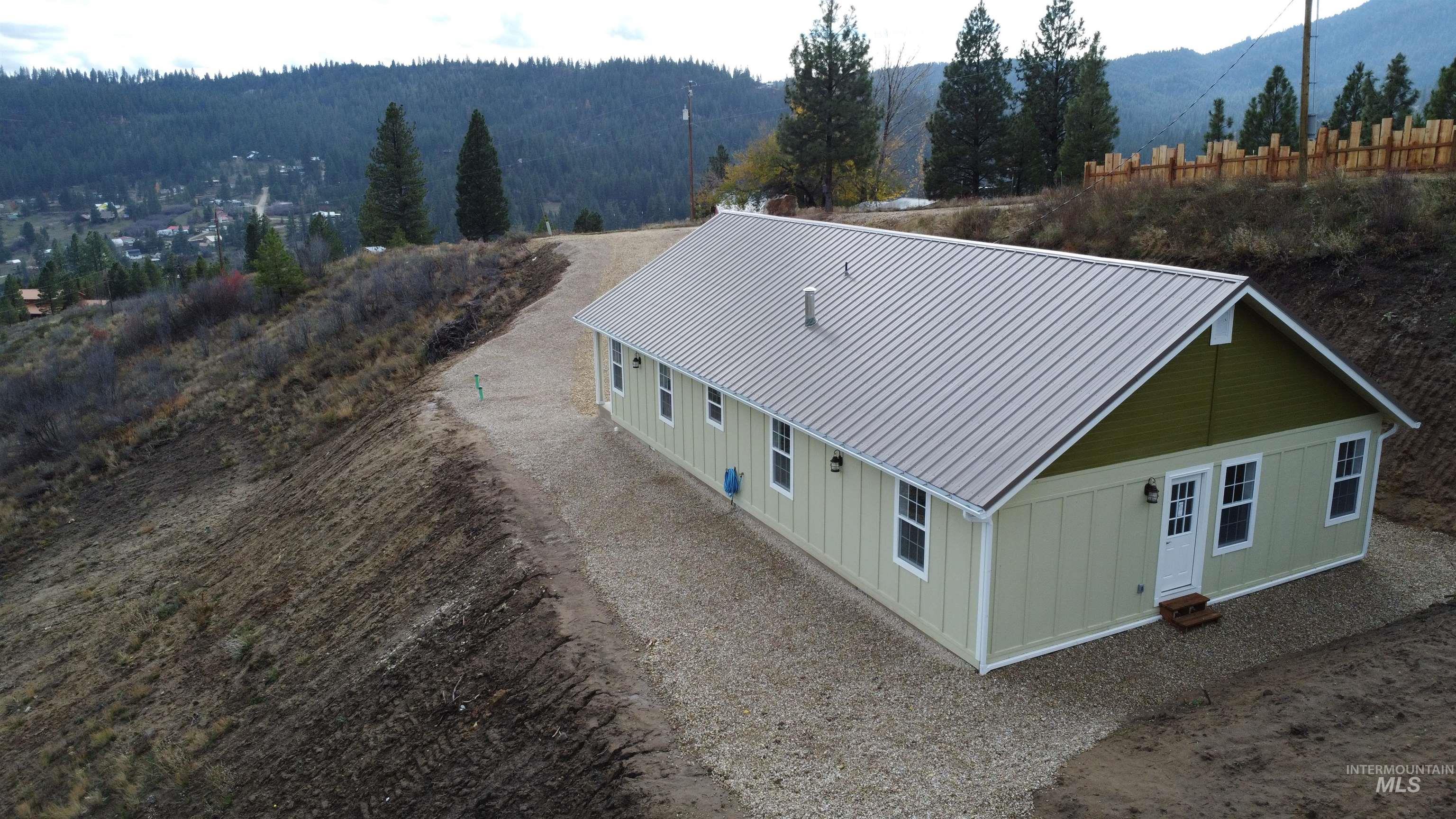 Bird's eye view of a forest