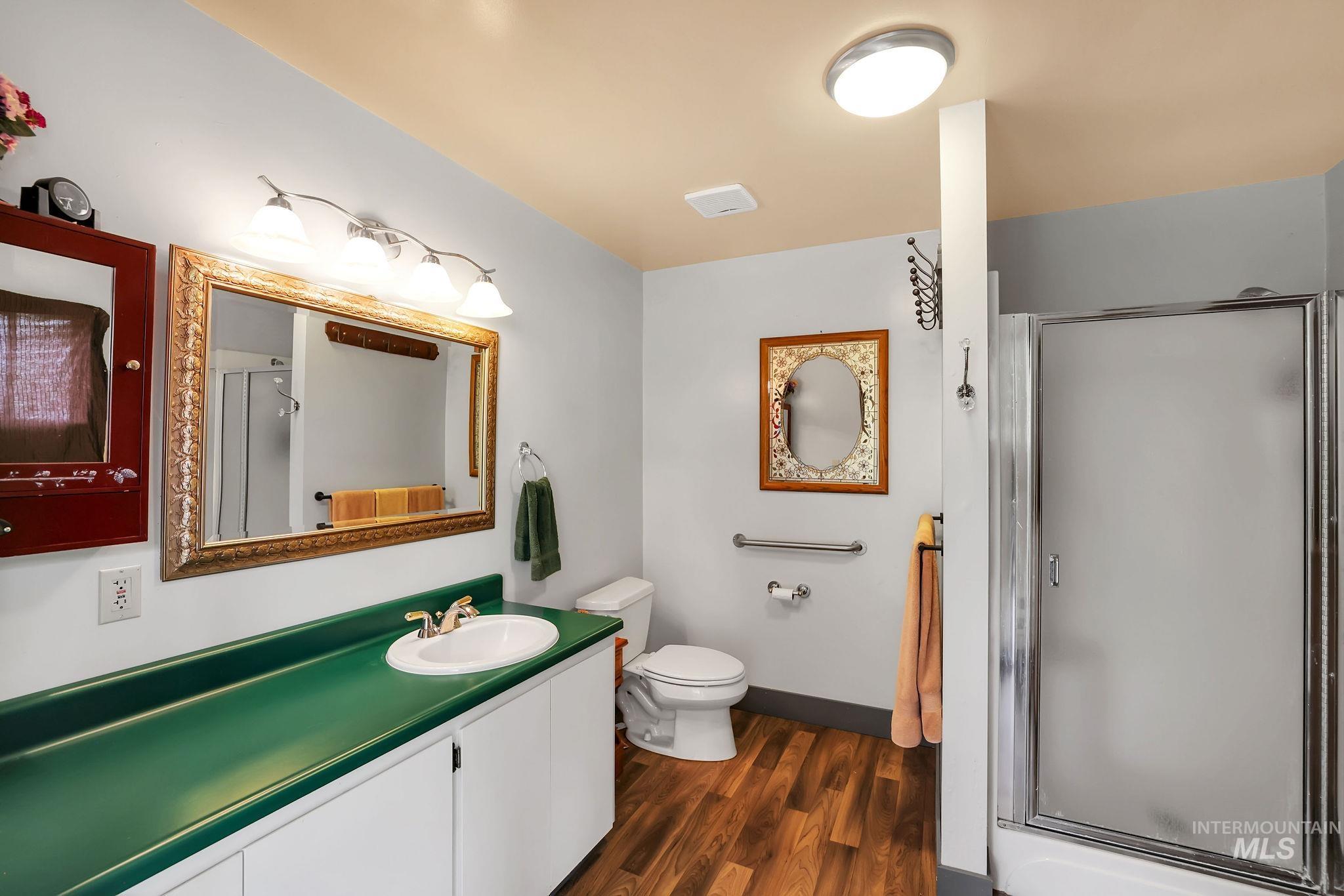 Bathroom with dark wood-style floors, a stall shower, and vanity