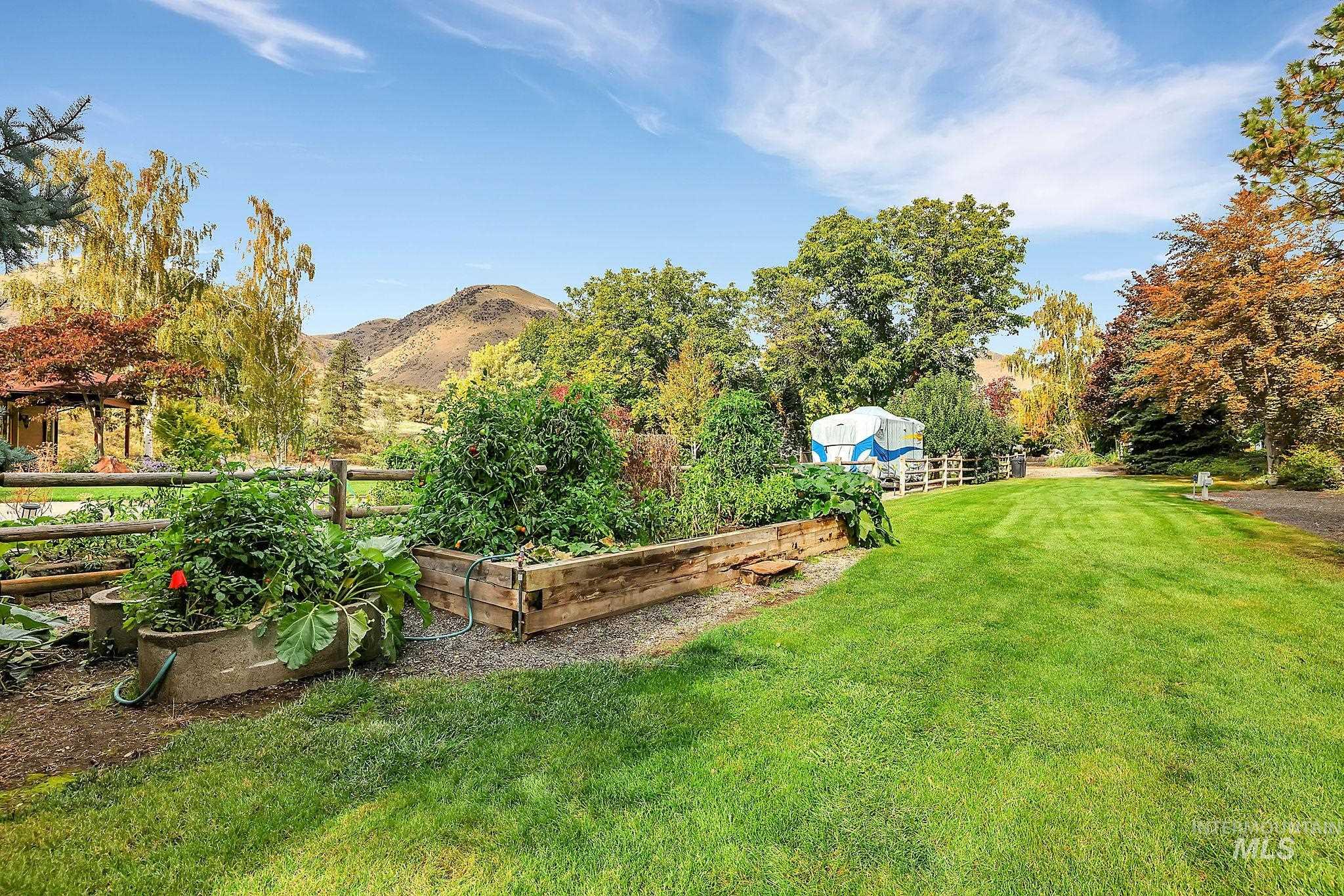 View of yard featuring a garden