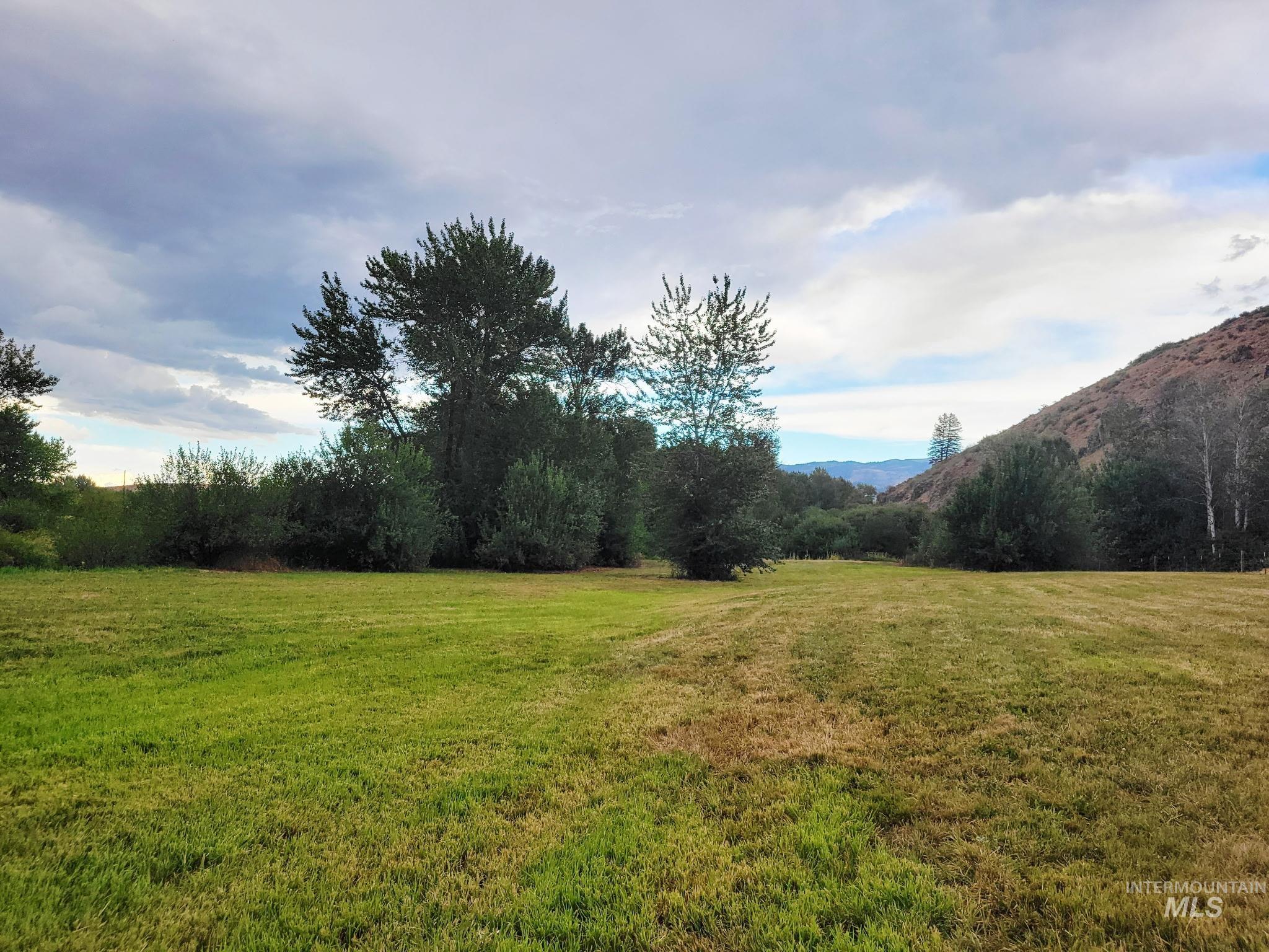 Mountain views from the field