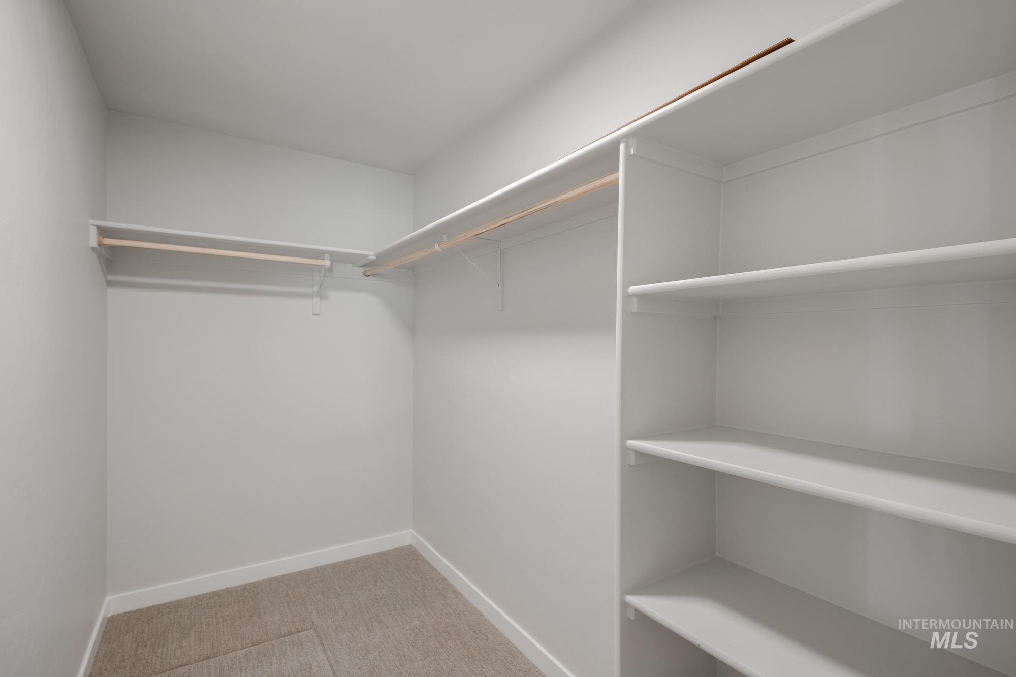 Walk in closet featuring light carpet