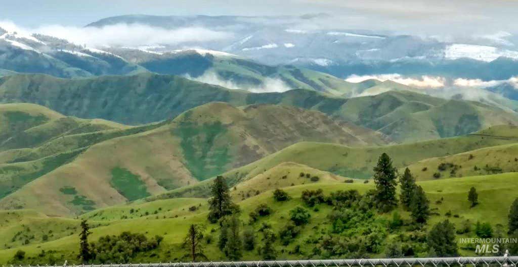 Photo of 161 Saddle Ridge Road, White Bird, ID 83554 (MLS # 98997808)