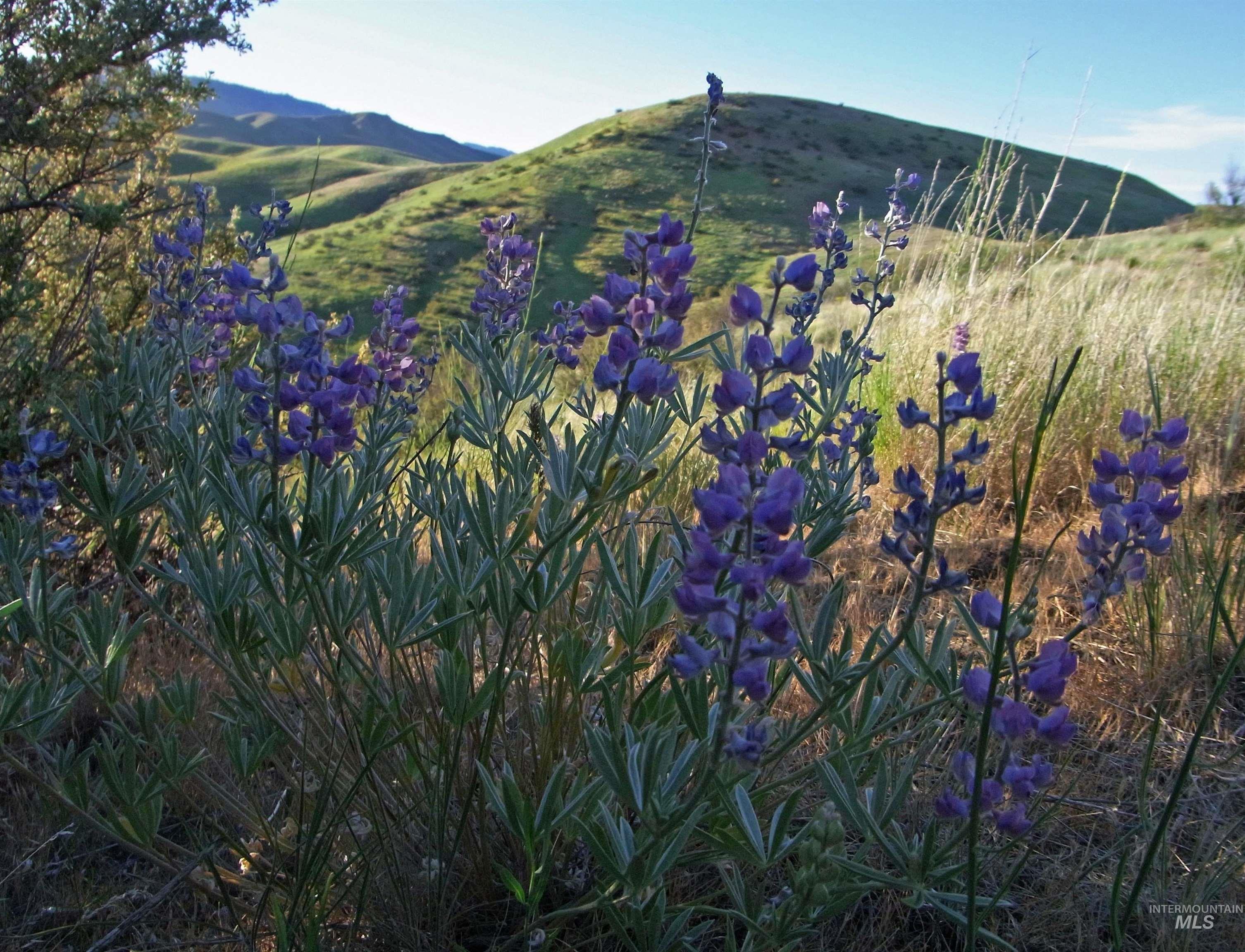 View of mountain backdrop