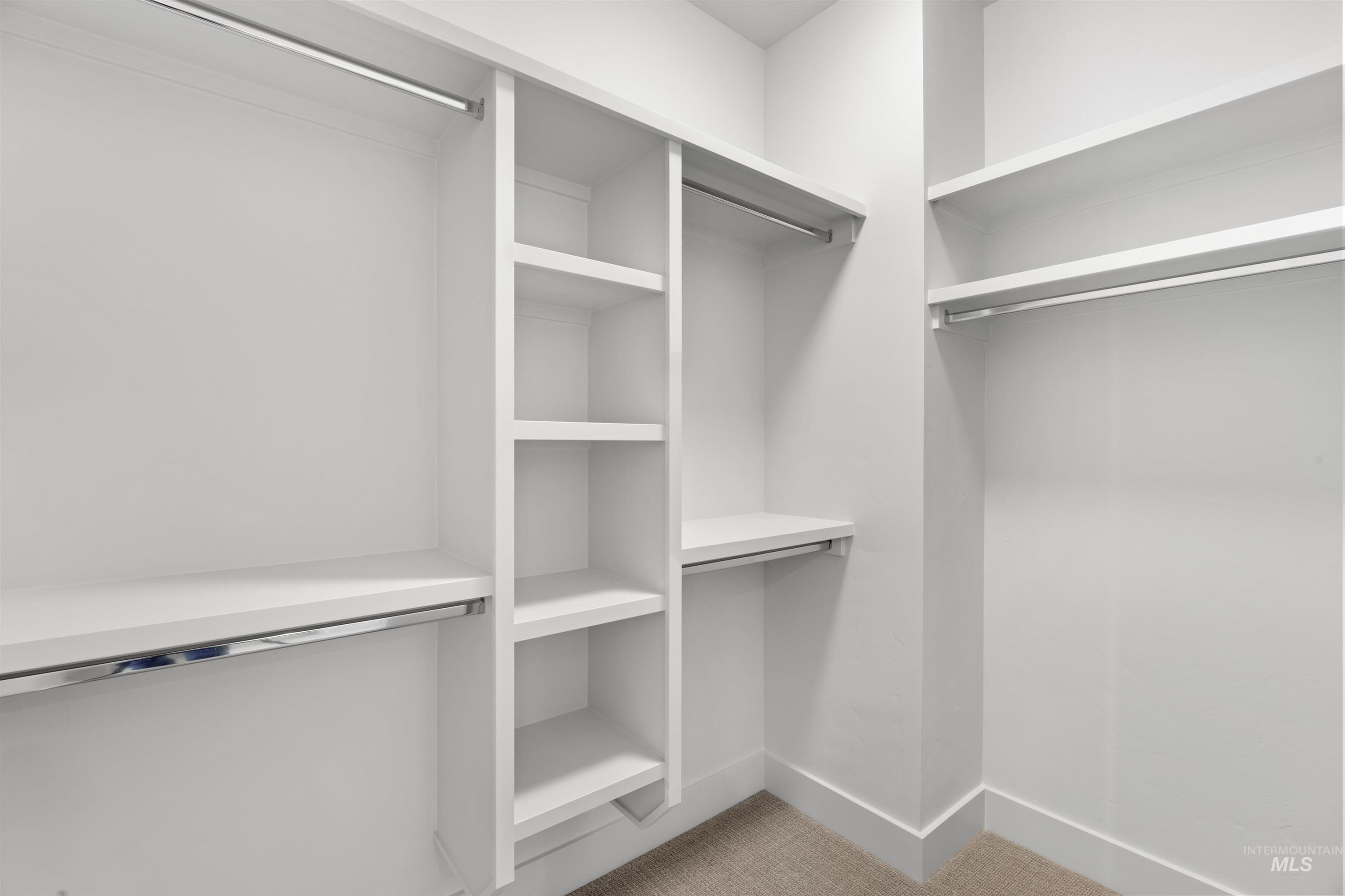 Walk in closet featuring carpet floors