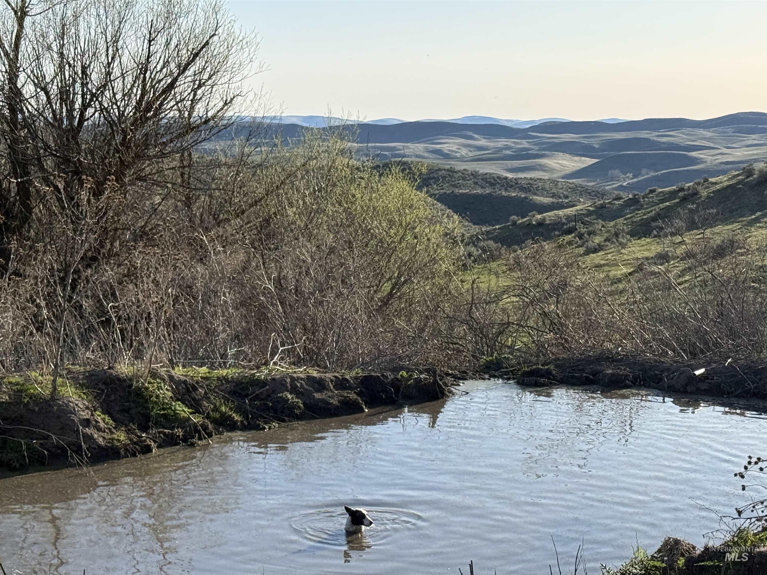 Water view featuring mountains