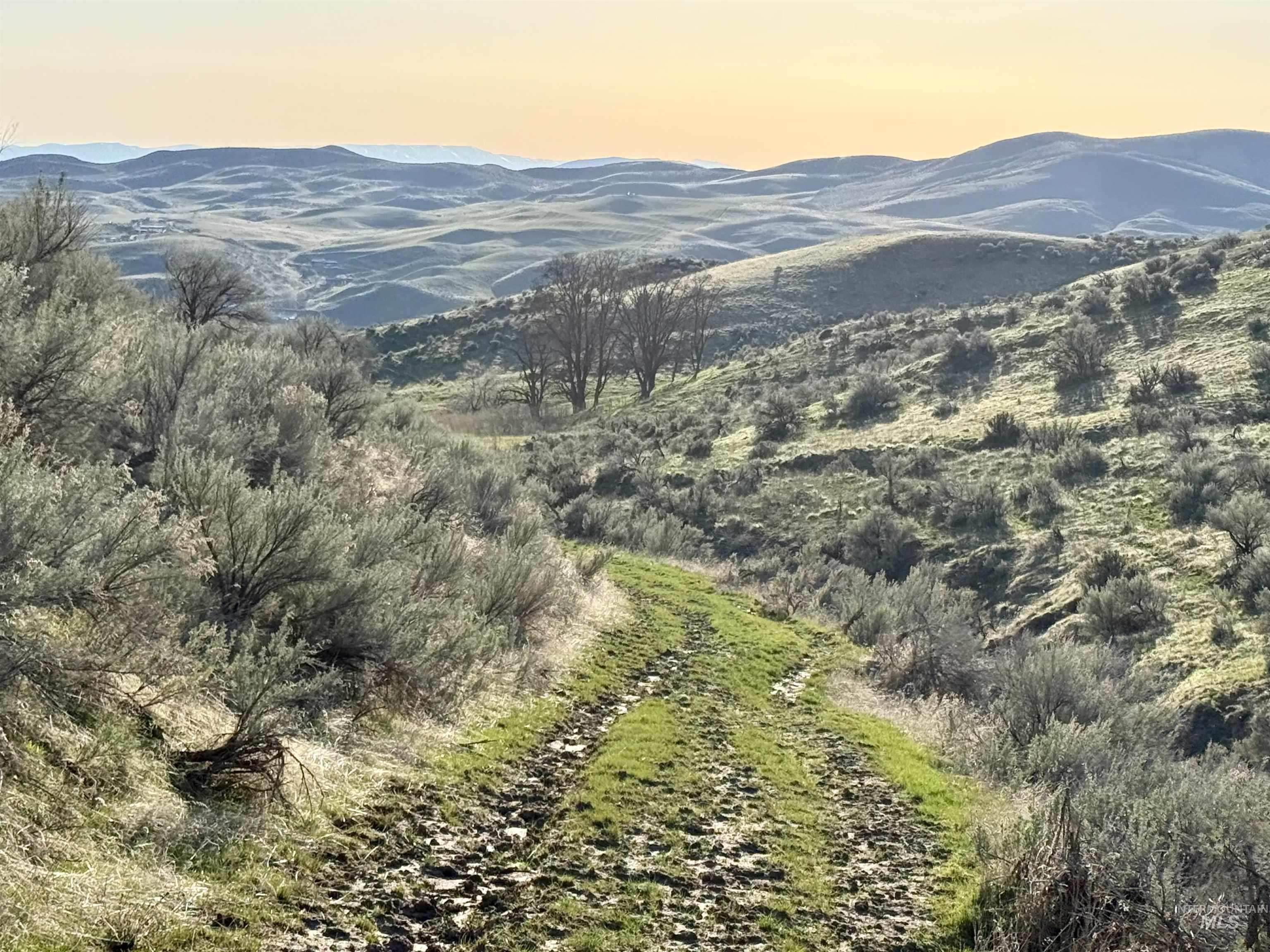 View of mountain background