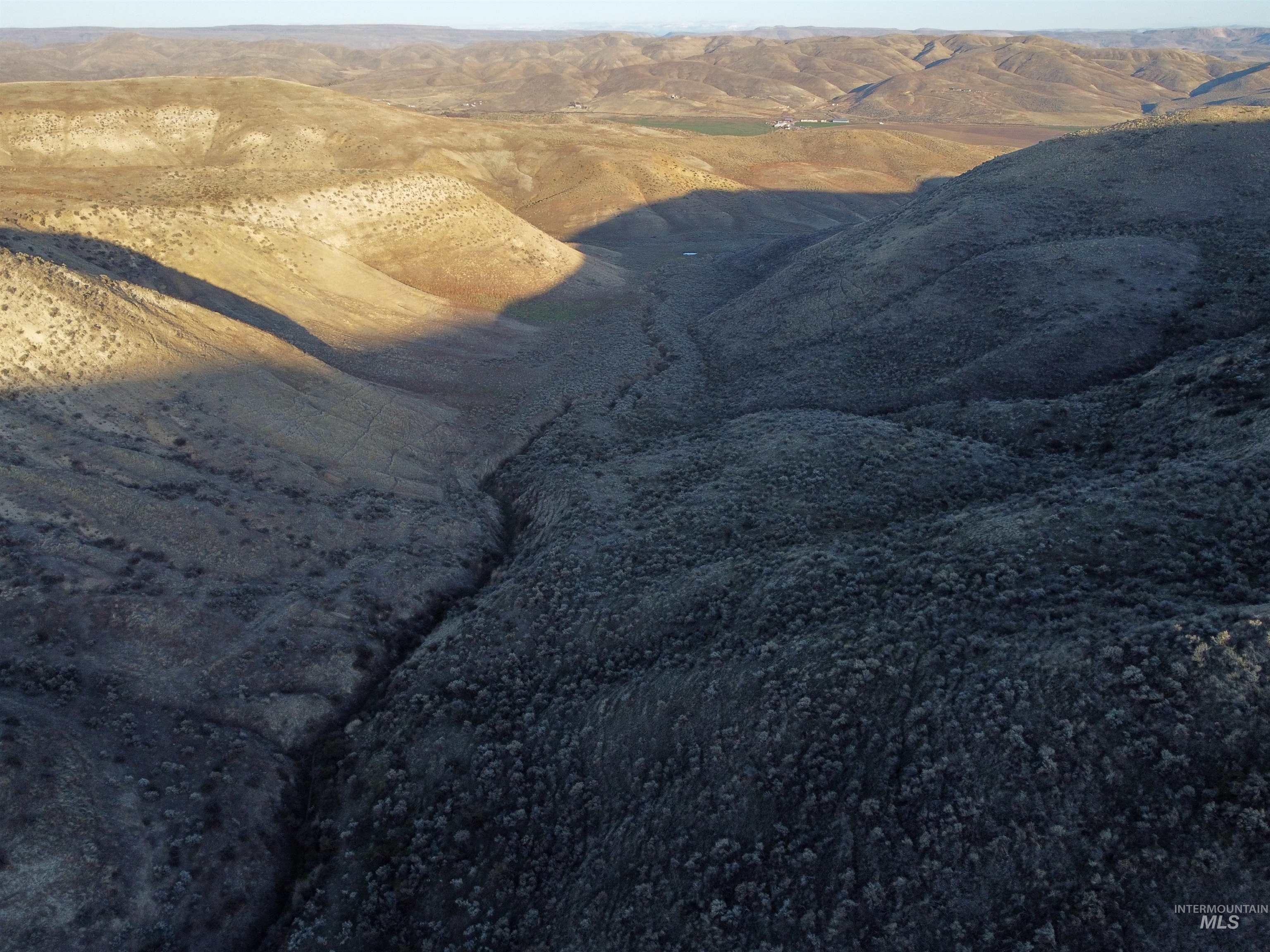 Detailed view of a mountainous background
