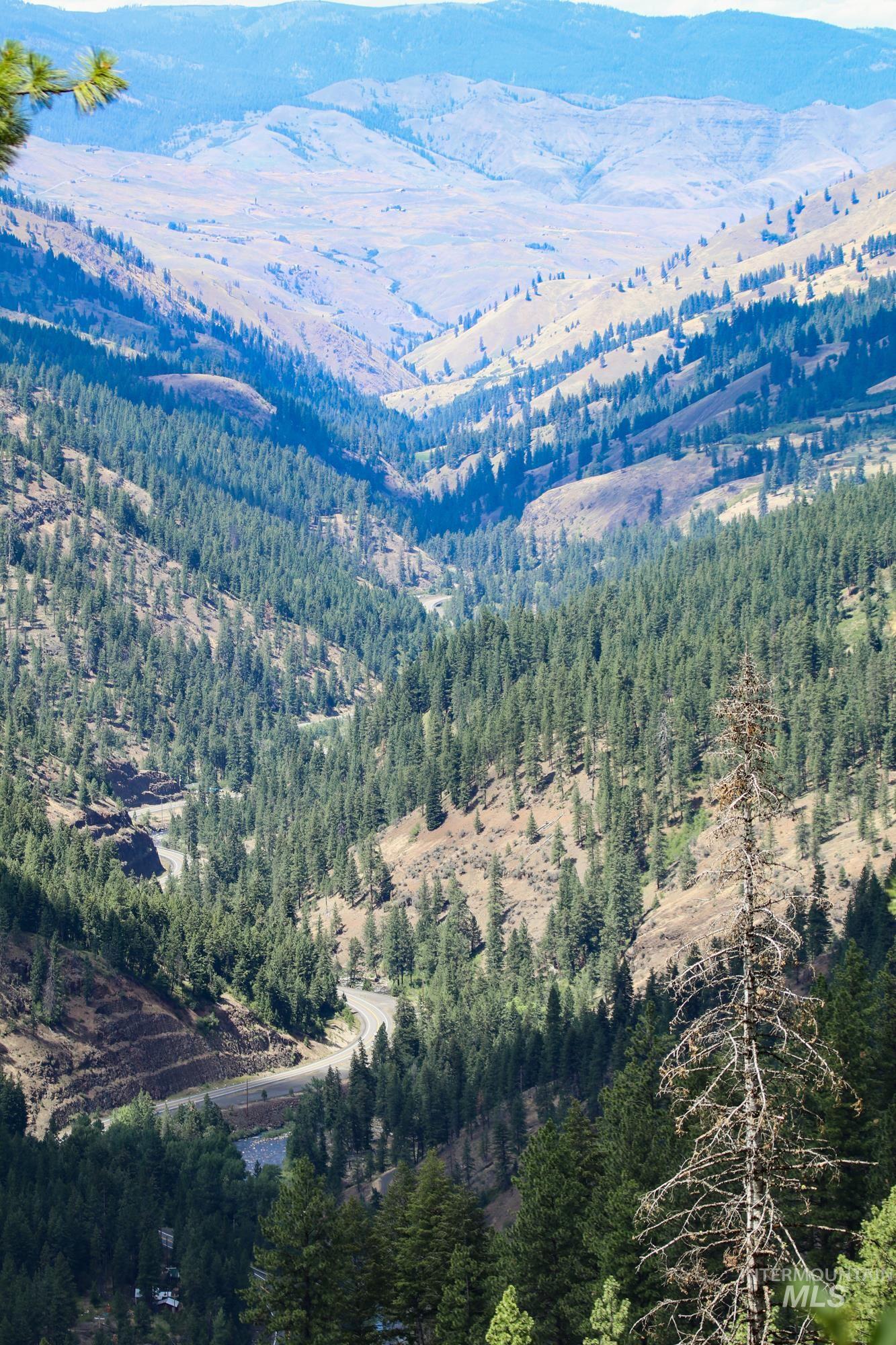 View of mountain backdrop with a heavily wooded area