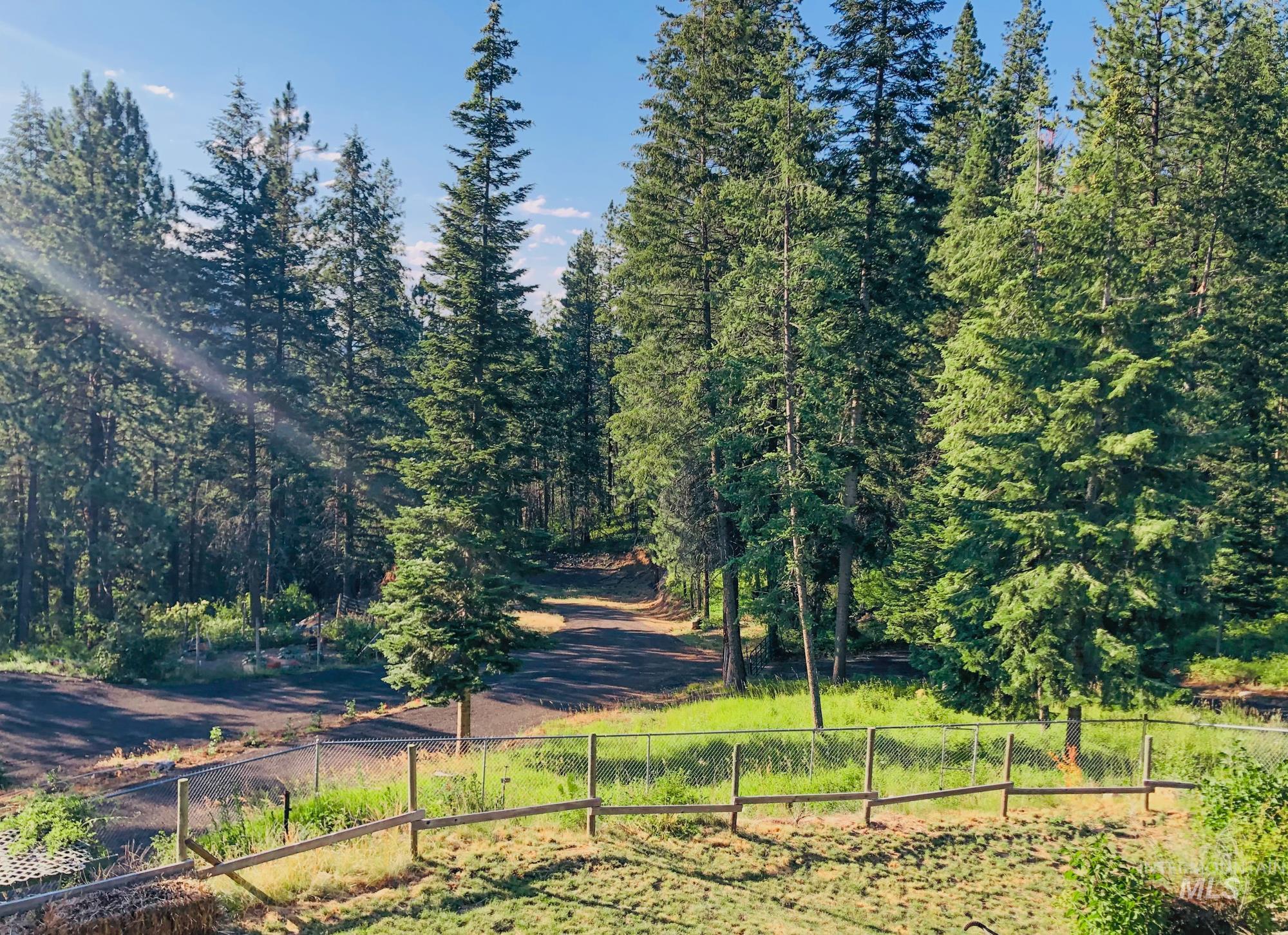 View of yard with a view of trees