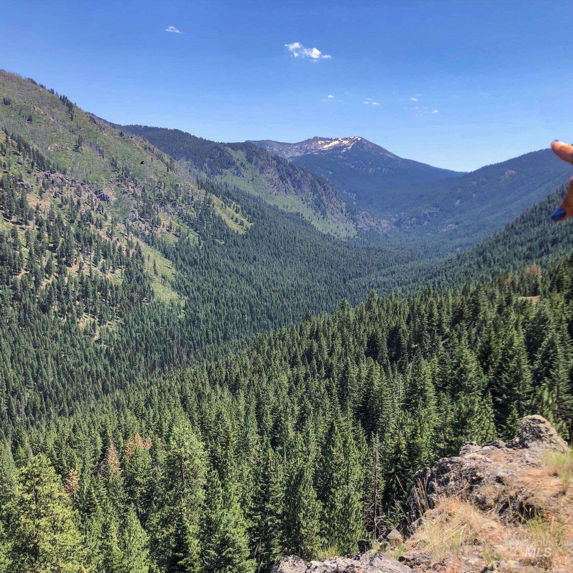 Mountain view with a forest