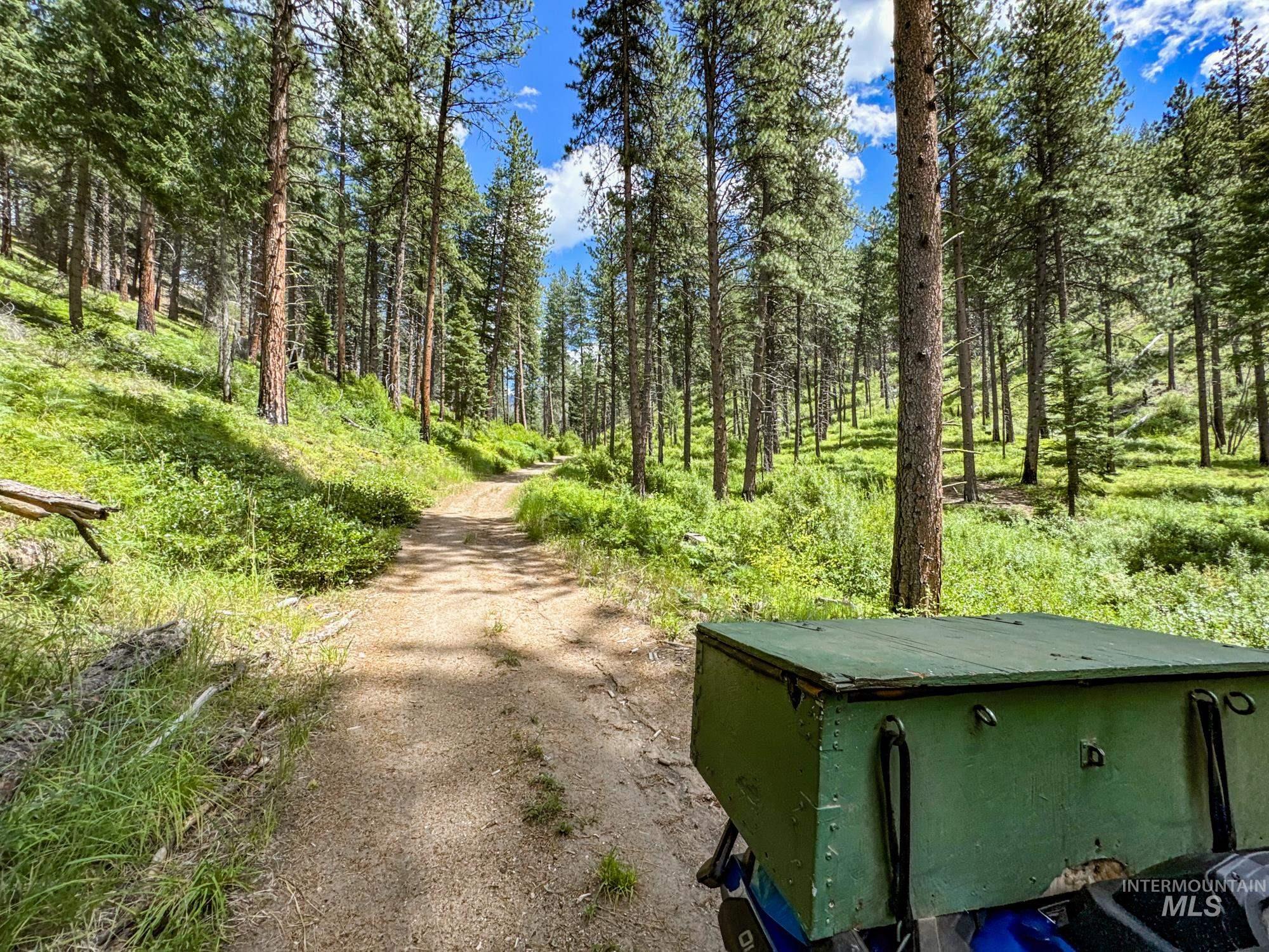 View of road with a view of trees