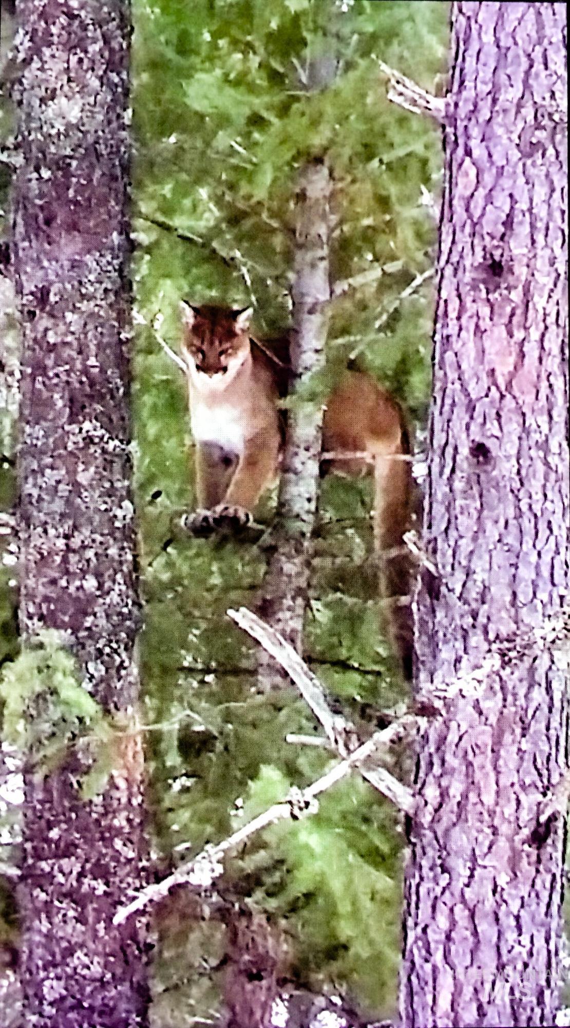 View of local wilderness