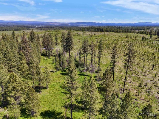 0 TIMBERLINE HEIGHTS, PARCEL 2, WEIPPE, ID 83553 - Image 4df2f77e4b01fbce958025feddd87175/696359579