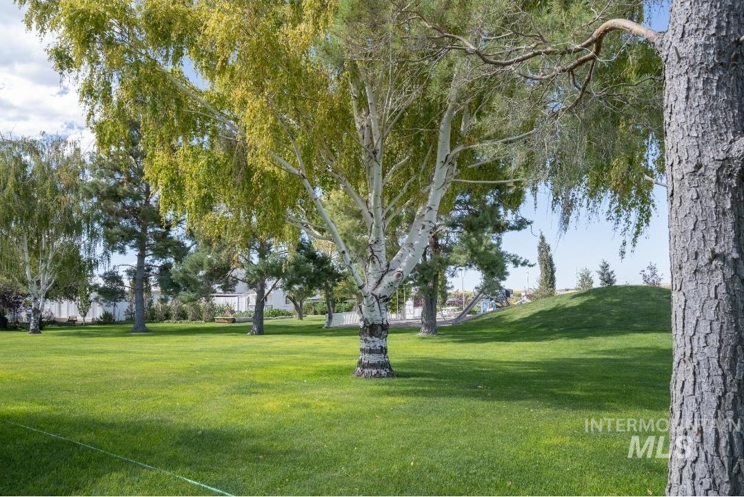 Surrounding community with a yard