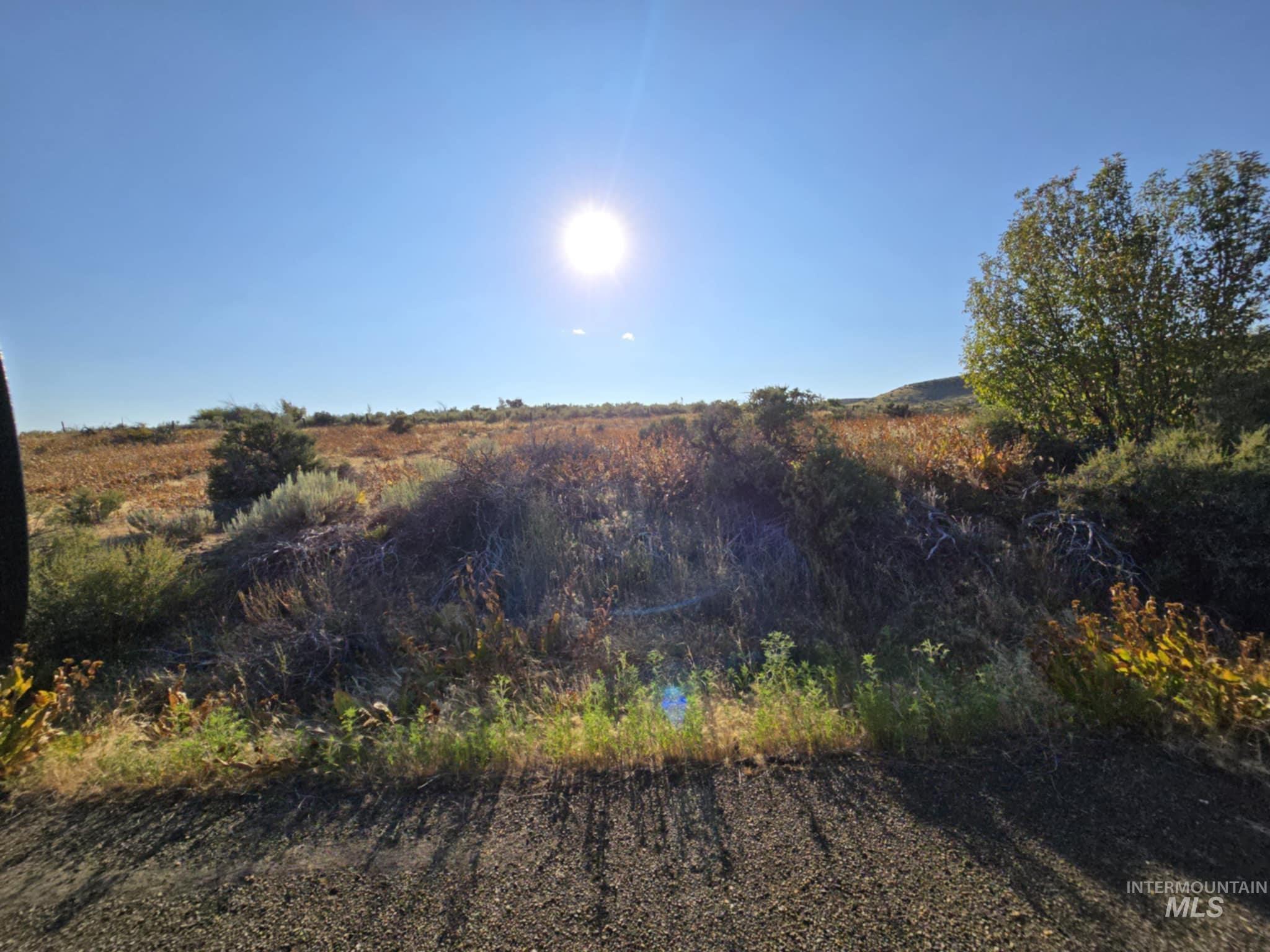 TBD Highway 95 - 10.81 Ac