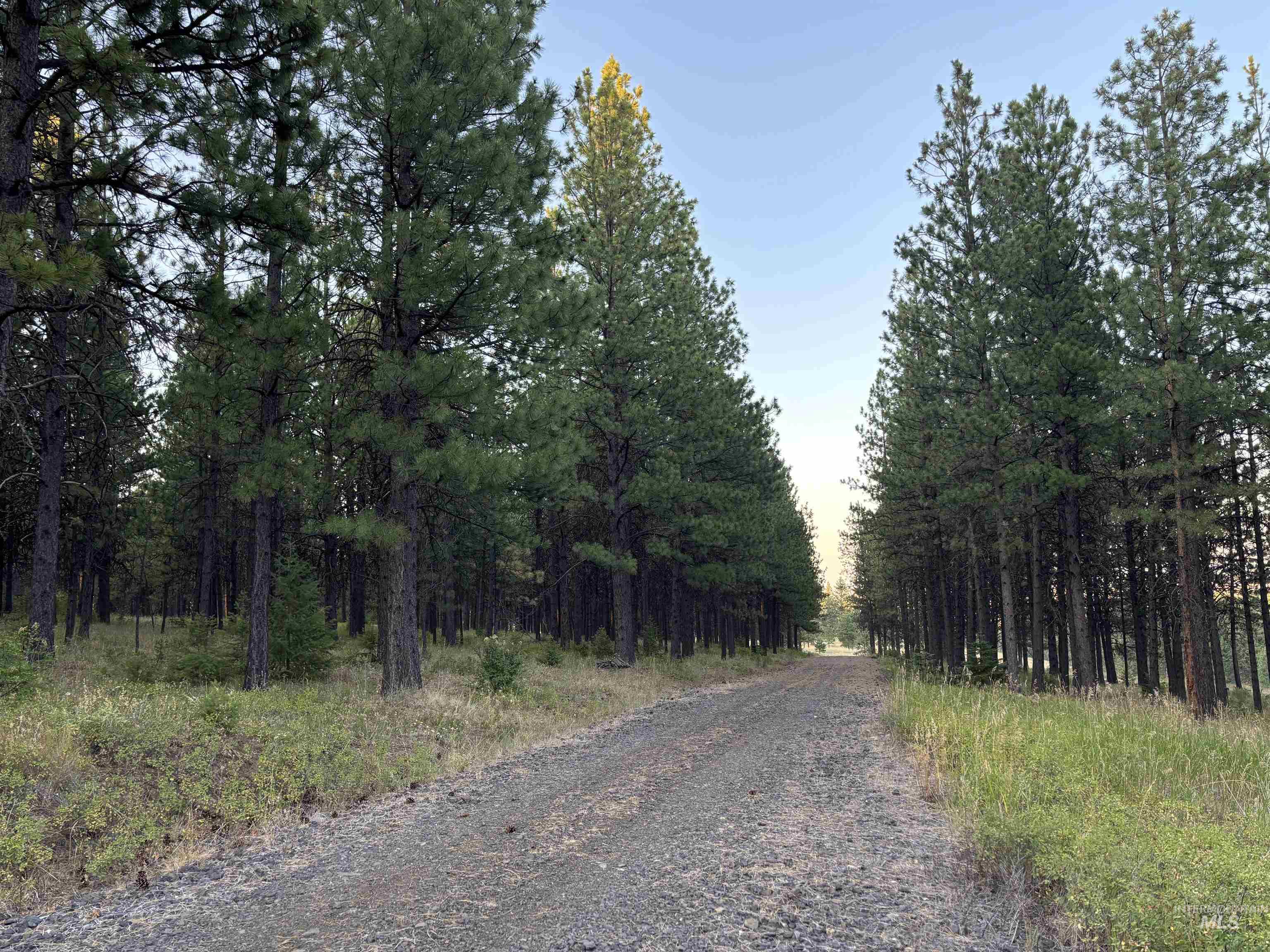 TBD Harlow Ridge Rd-Cloverland Estates Lot 37