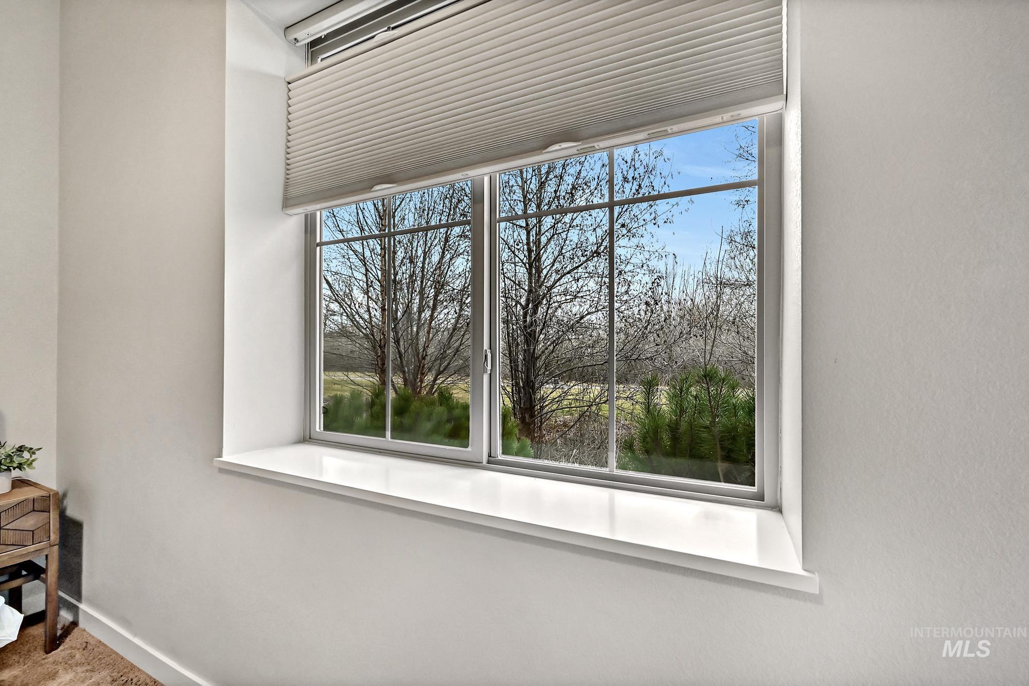 Carpeted bedroom with a spacious closet and window with a view of the Boise Greenbelt