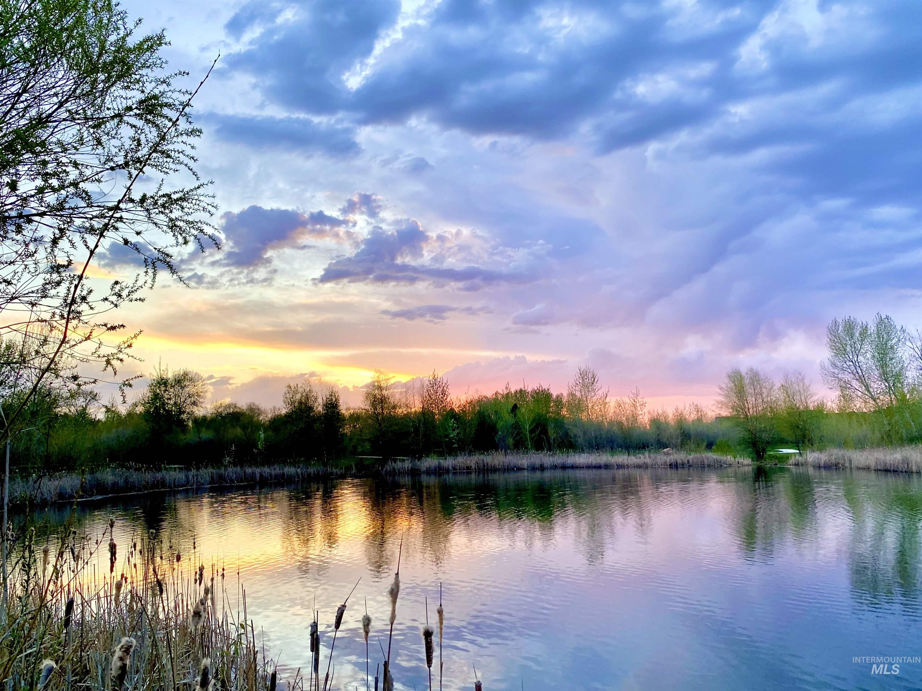 Water view at sunset of one of the ponds in nearby Marianne Williams Park.