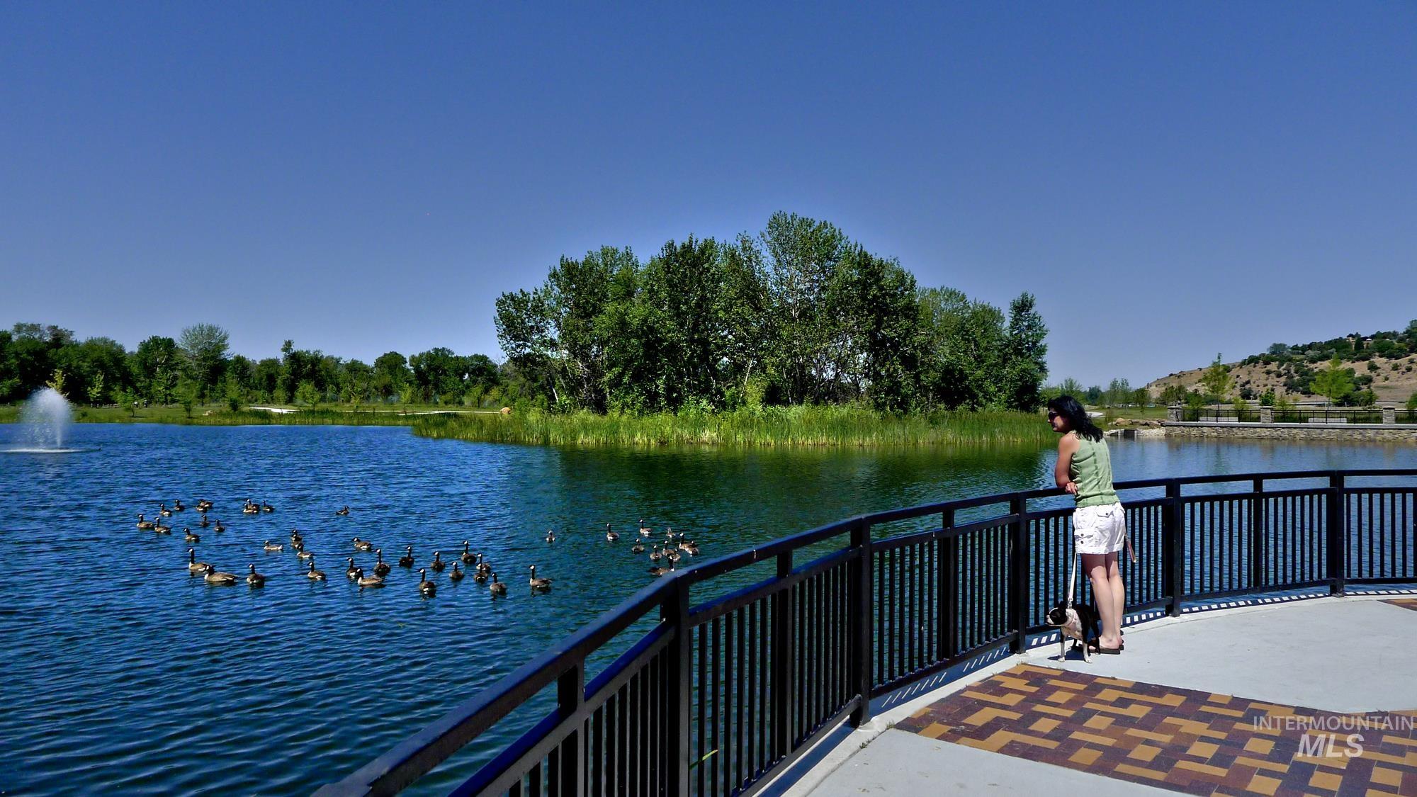 View of one of the ponds in Marianne Williams Park