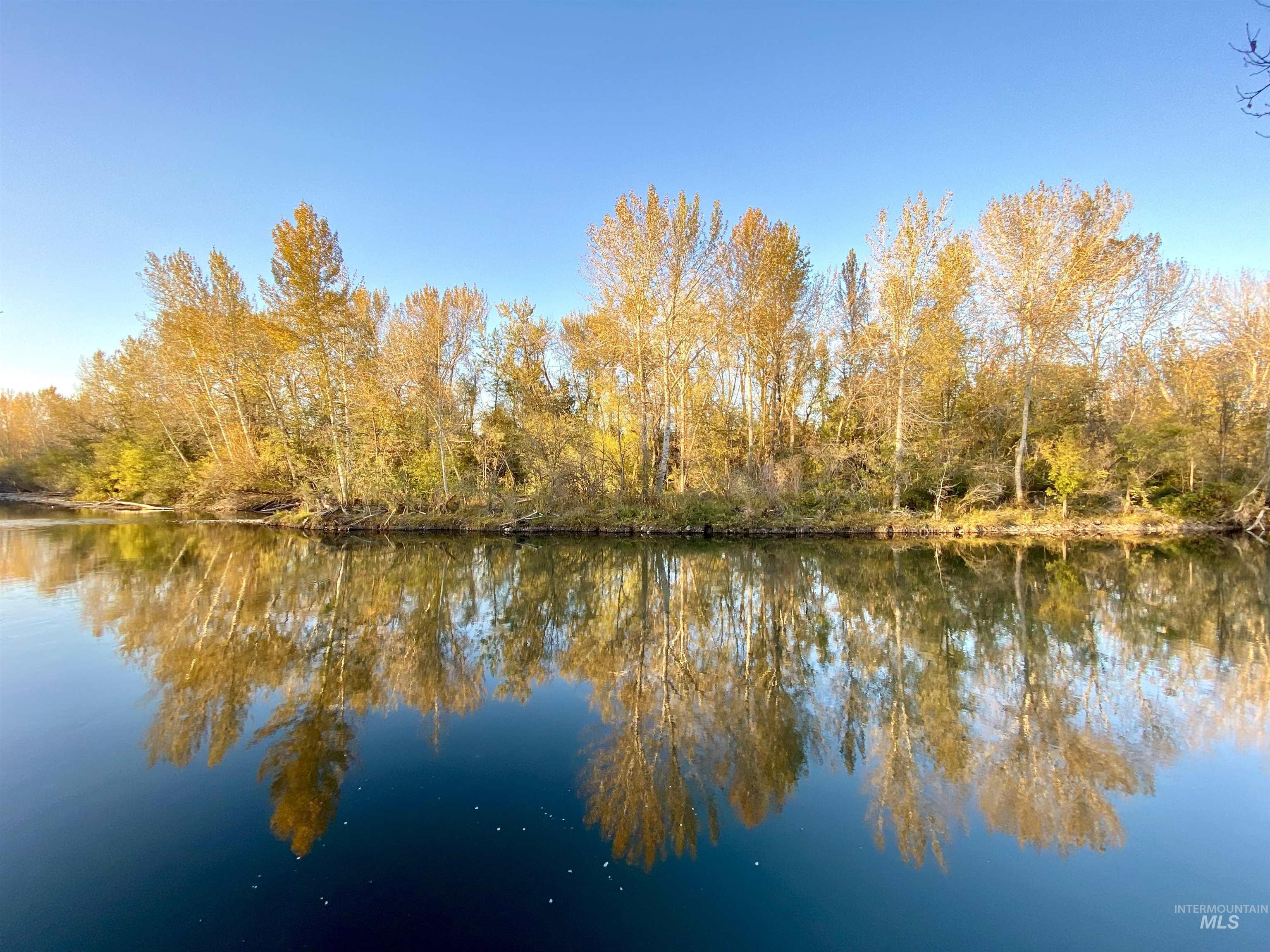 Water view featuring beautiful trees in autumn