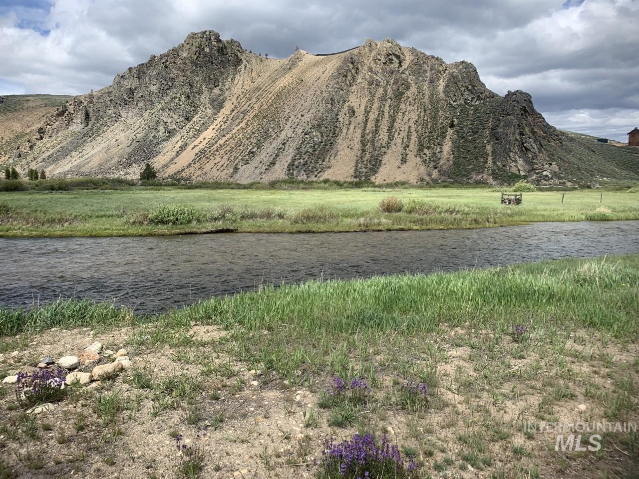 Summer on Valley Creek
