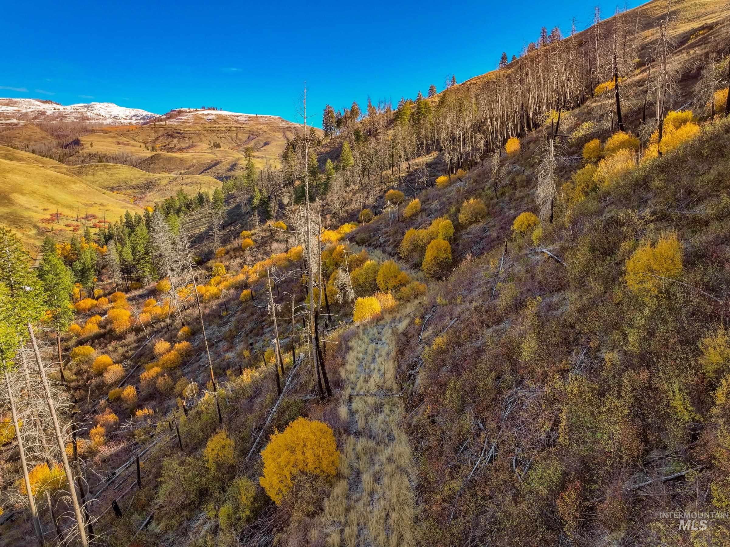 255 ac Fall Creek Rd