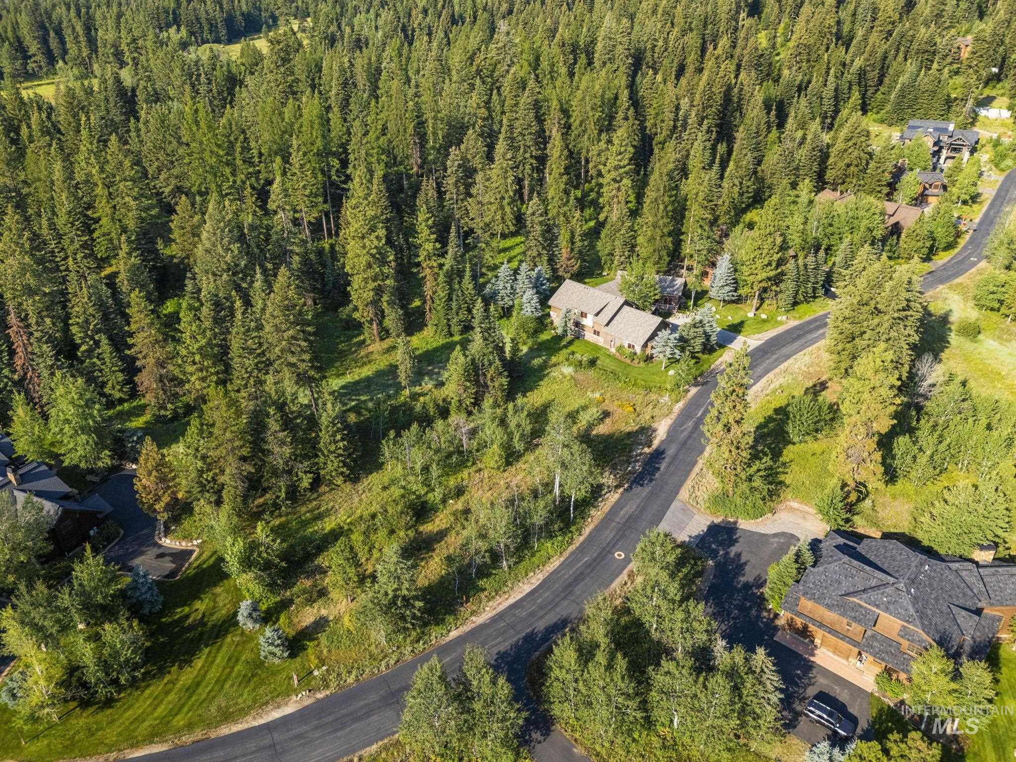 Aerial overview of property's location featuring a heavily wooded area