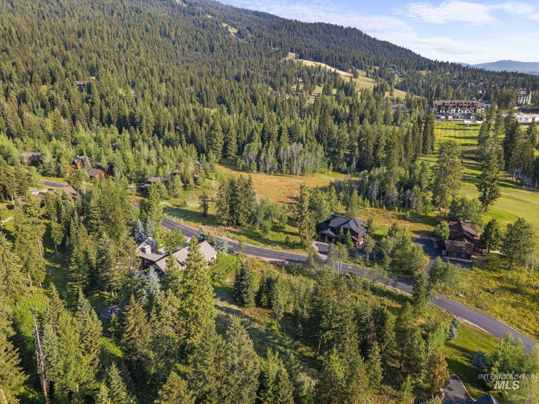 Aerial overview of property's location featuring a forest and a mountain backdrop