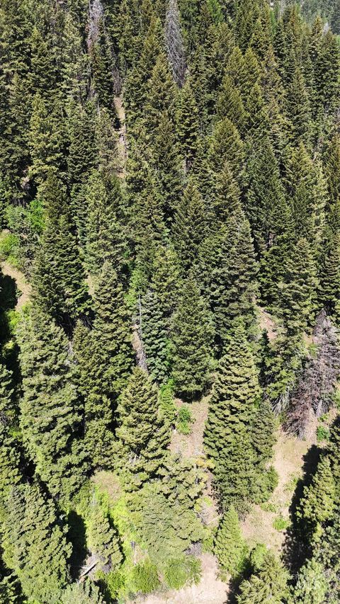 Photo of 74 Burnt Wagon Trail, Donnelly, ID 83615 (MLS # 98949285)