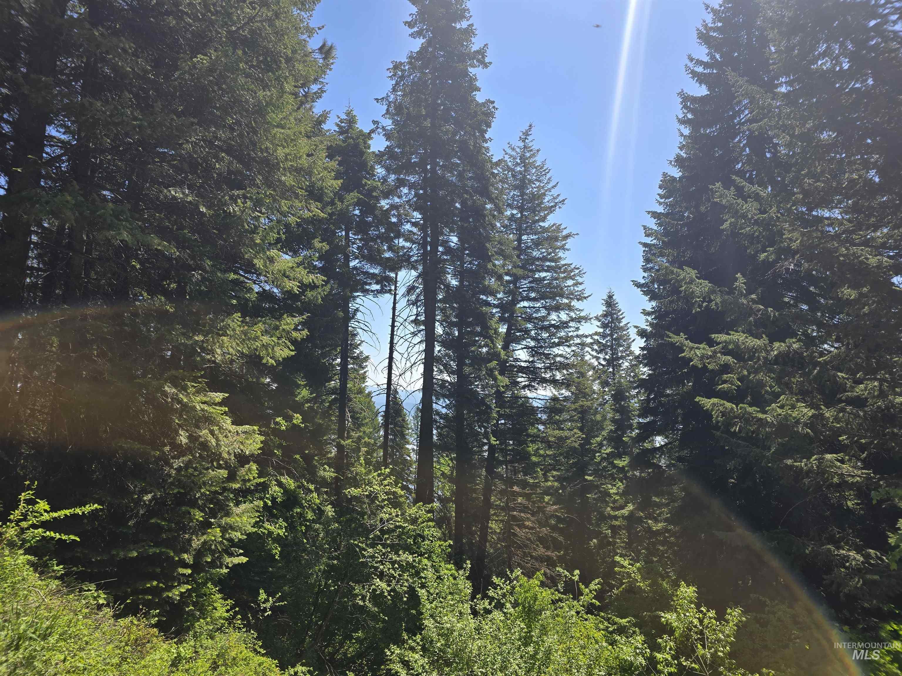 74 Burnt Wagon Trail