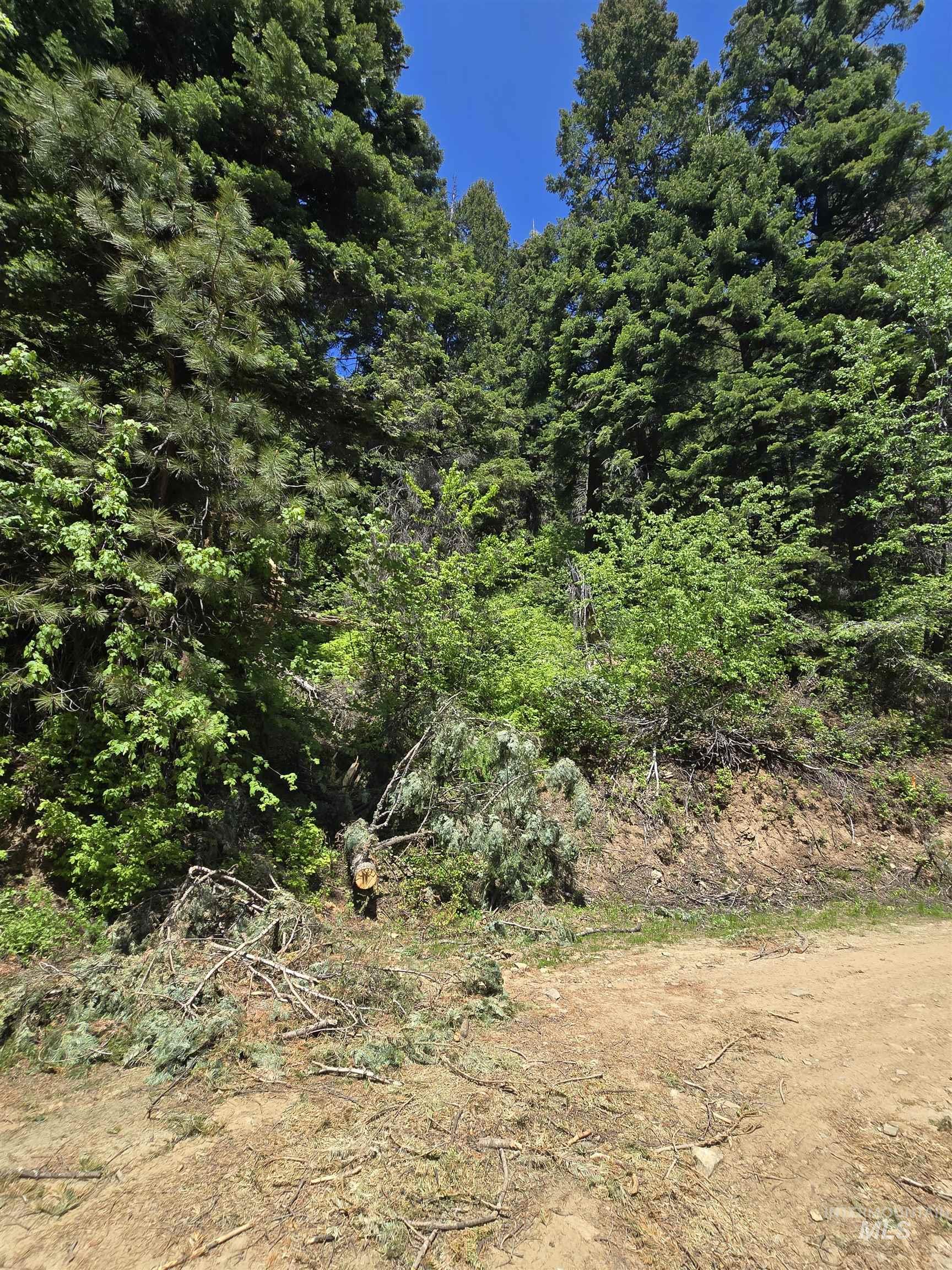 74 Burnt Wagon Trail