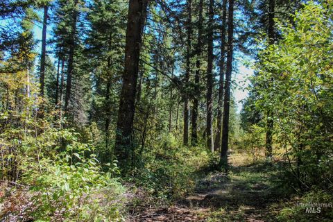 1204 Porcupine Road Cascade ID 83611