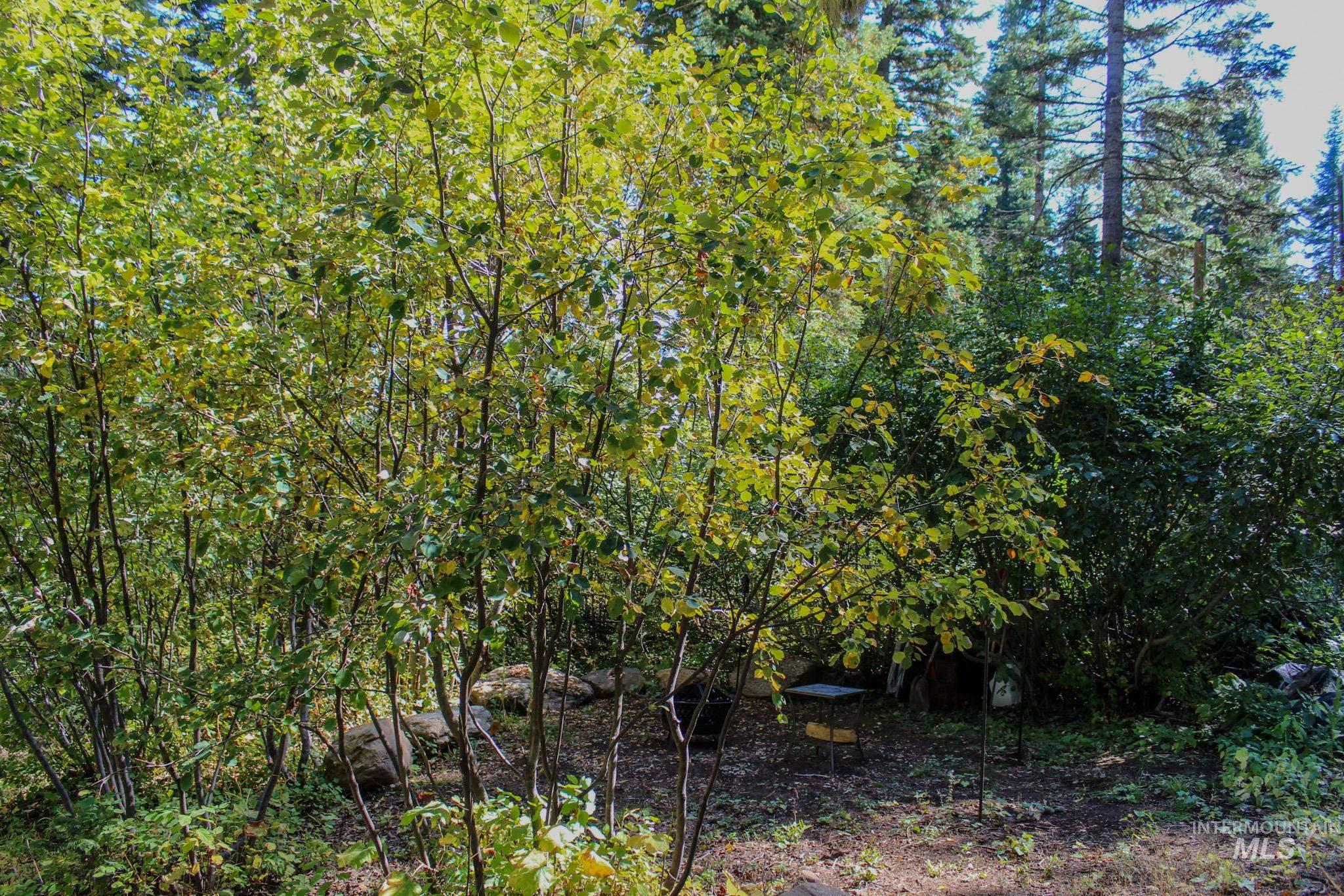 1204 Porcupine Road