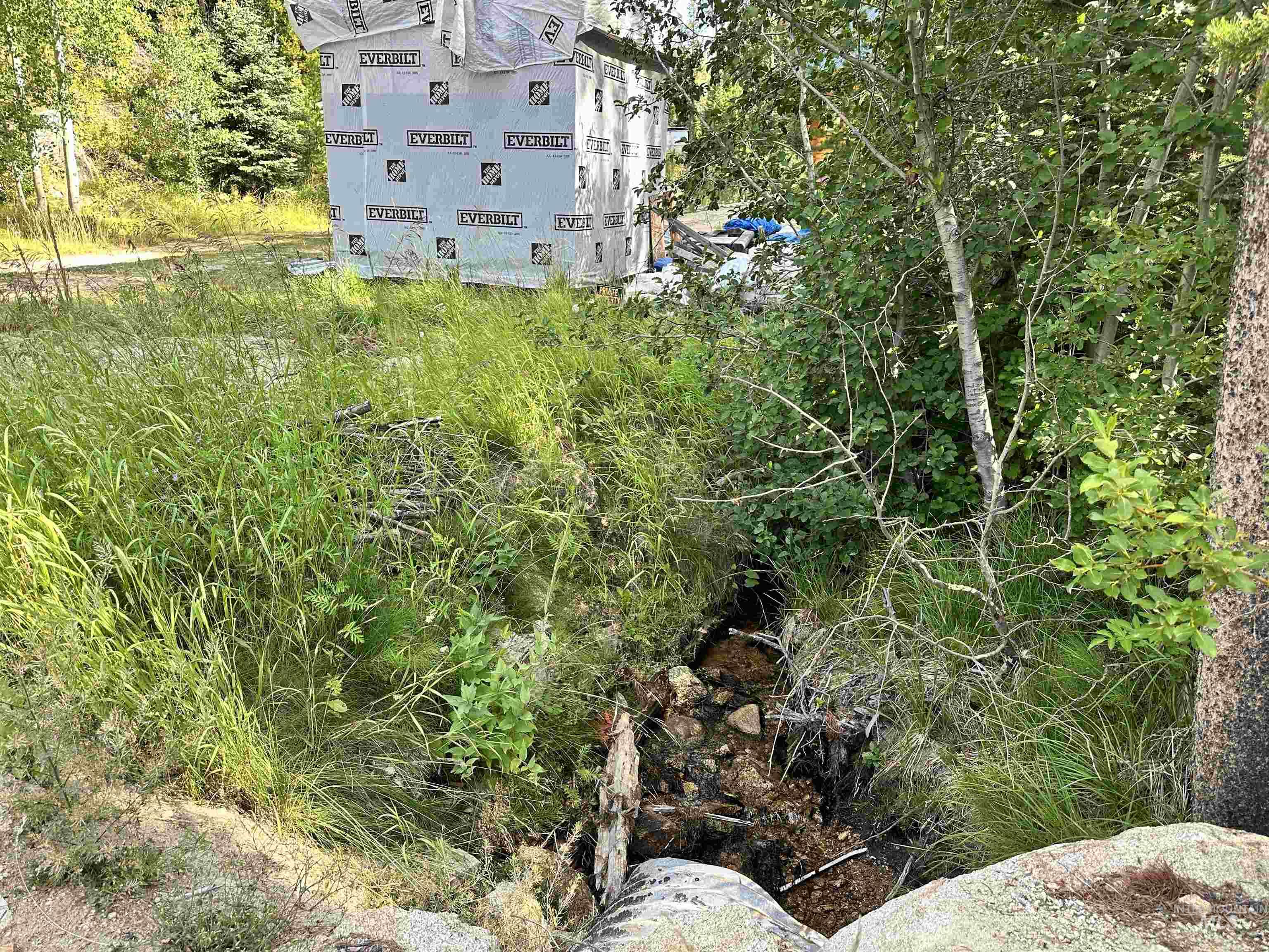 View of local wilderness