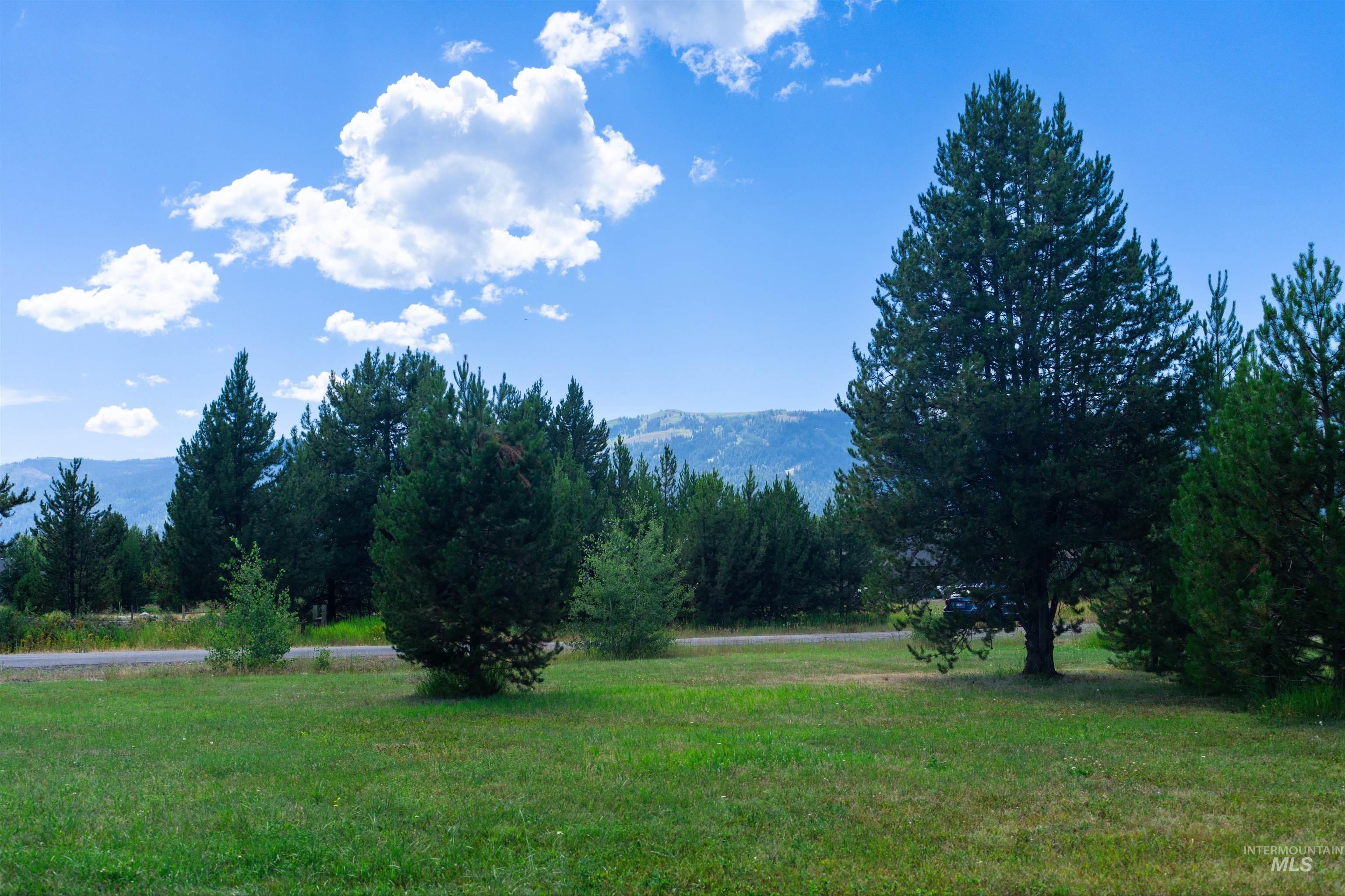 View of mountain backdrop featuring a heavily wooded area